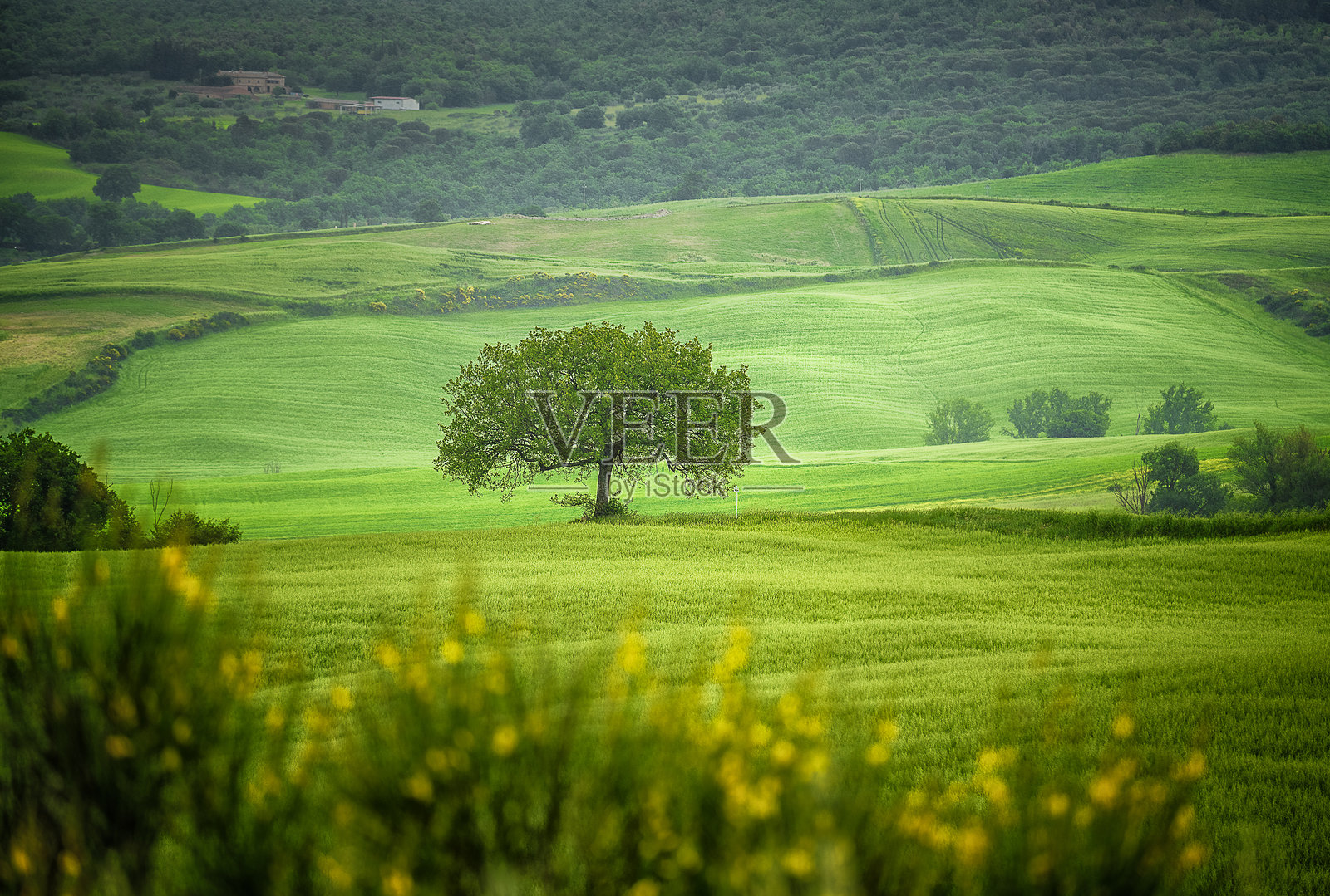 孤独照片摄影图片