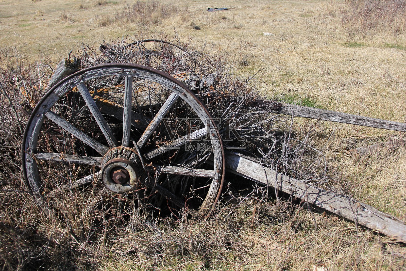 生活在西部荒野照片摄影图片