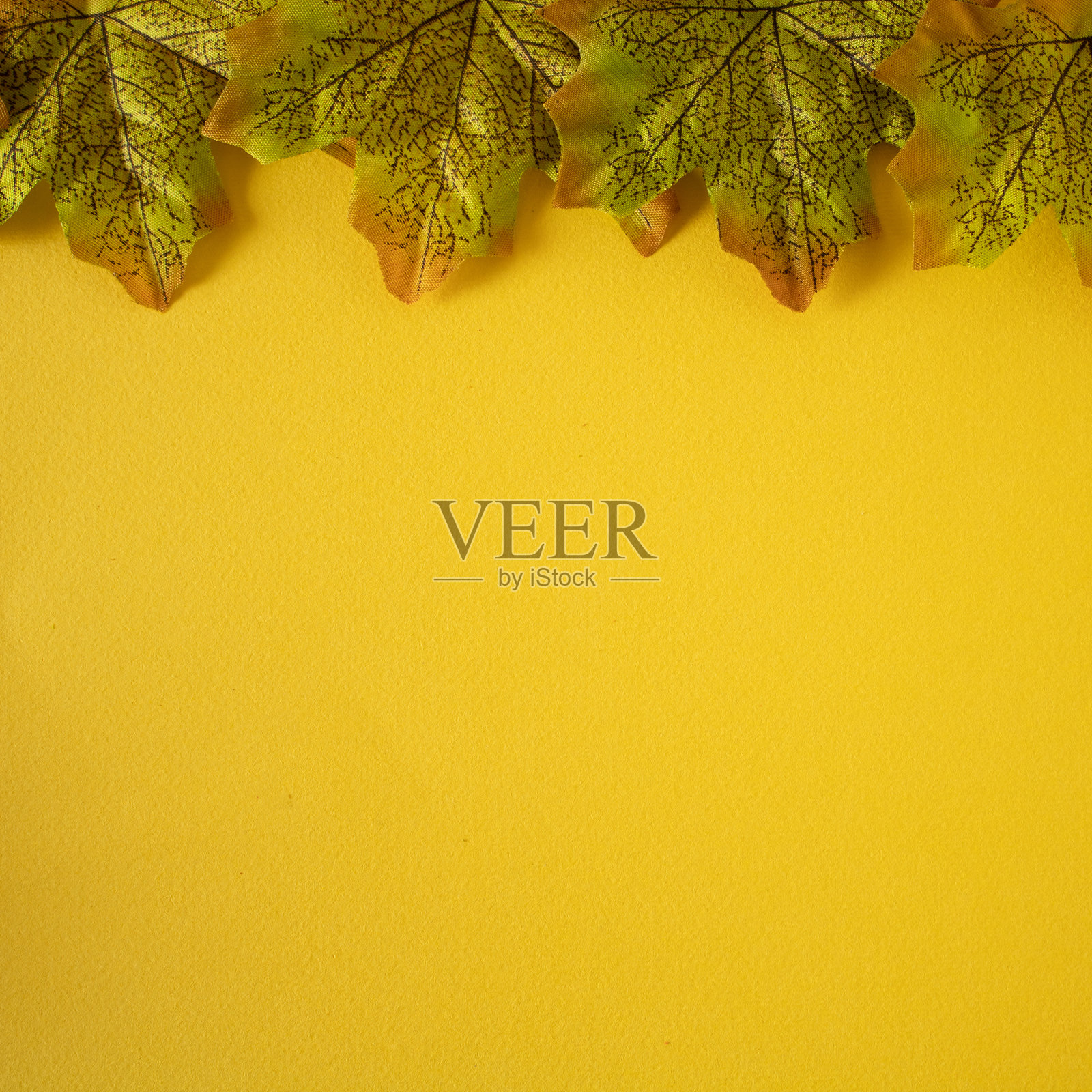 四片绿色的叶子装饰性地摆放在一张黄色的桌子上照片摄影图片