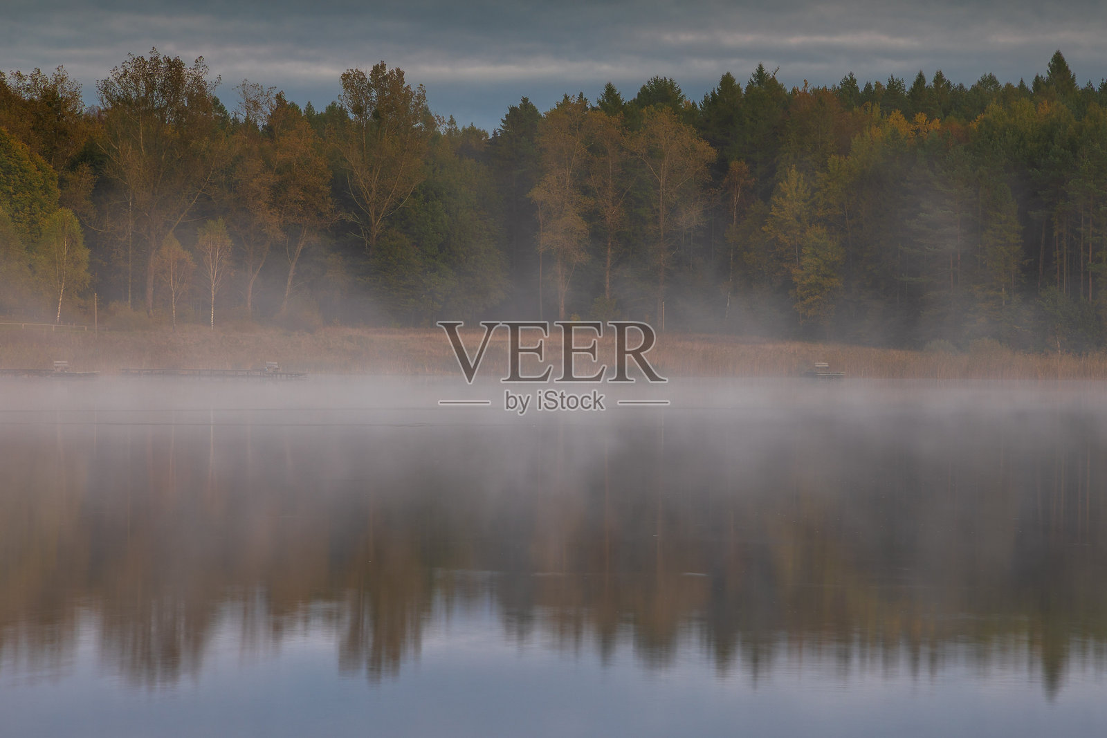 波兰秋季树木和柔和晨雾中的雾气森林湖。照片摄影图片