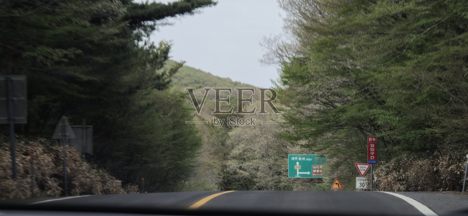 春季的韩国济州岛，通往Eorimok步道的风景曲折道路，周围有森林树木和交通标志。照片摄影图片