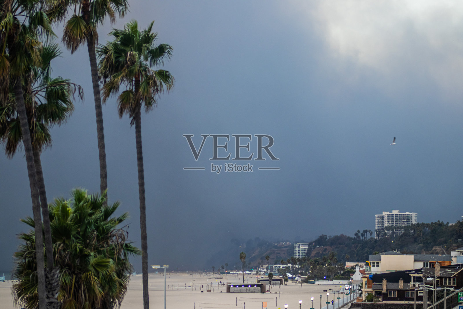 棕榈树与太平洋帕利塞德火灾和伊顿火灾的烟雾照片摄影图片