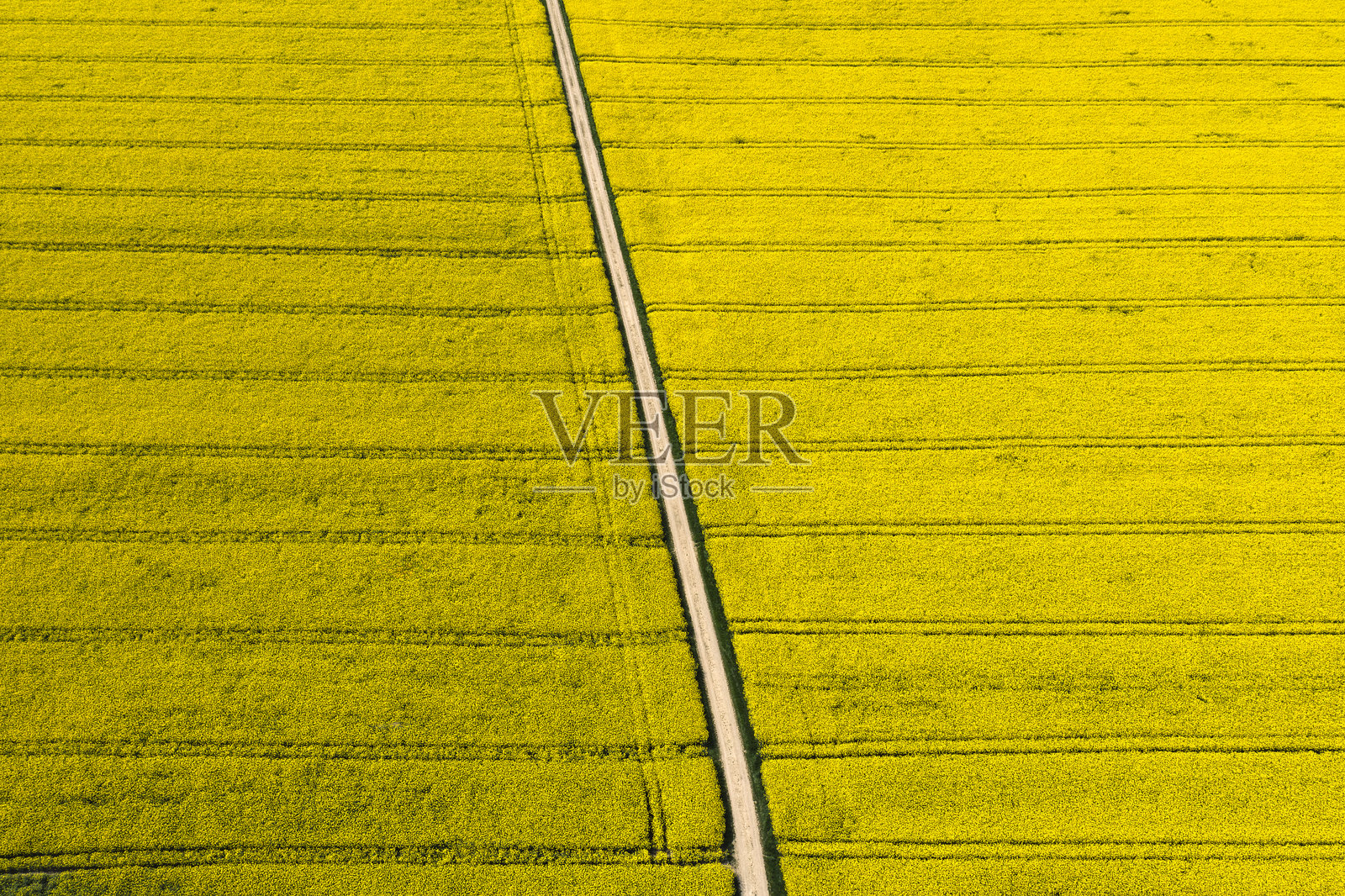 乡间小路与油菜花田照片摄影图片