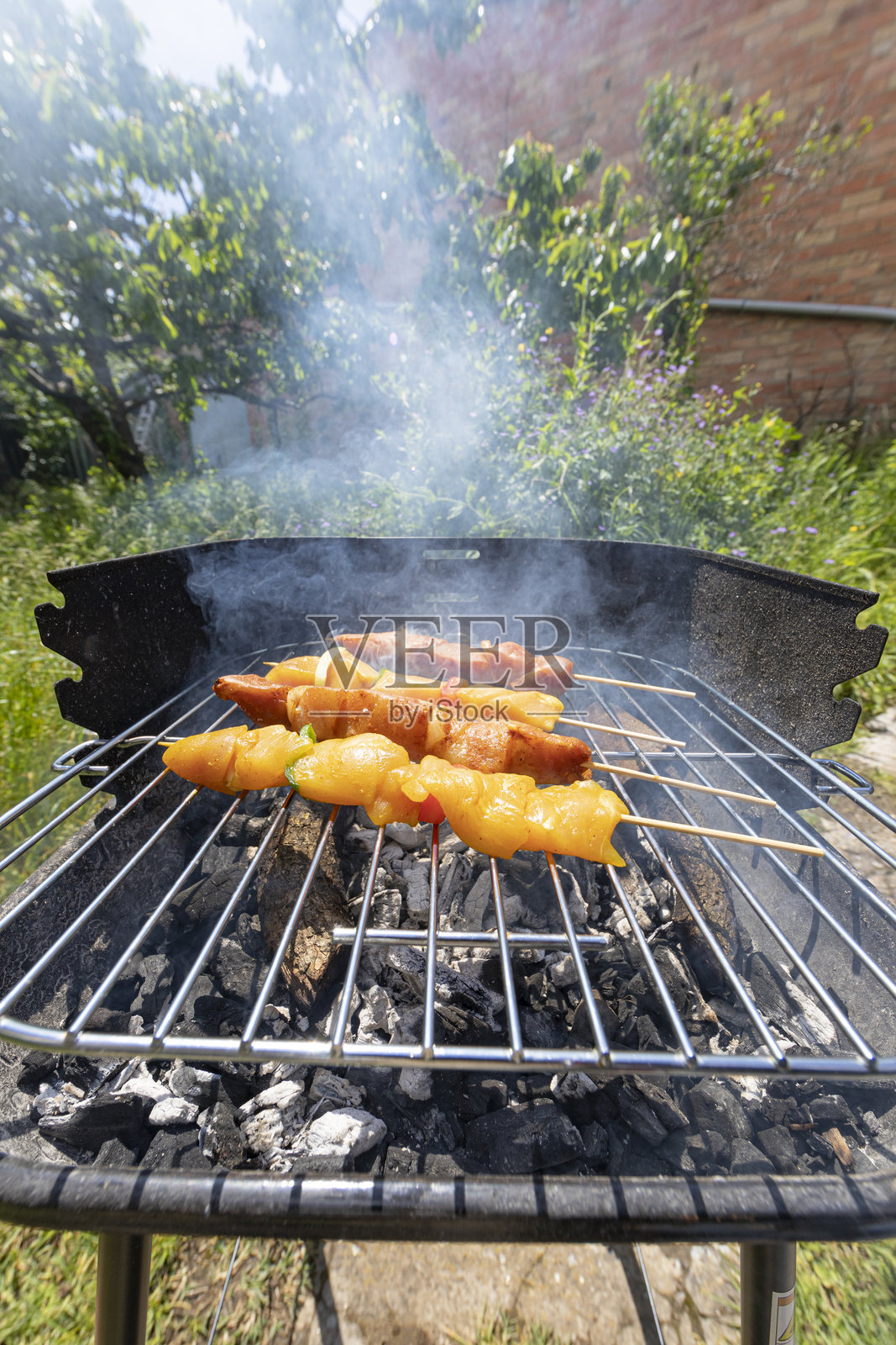鸡肉串和猪肉串在烧烤中 - 西班牙的健康饮食照片摄影图片