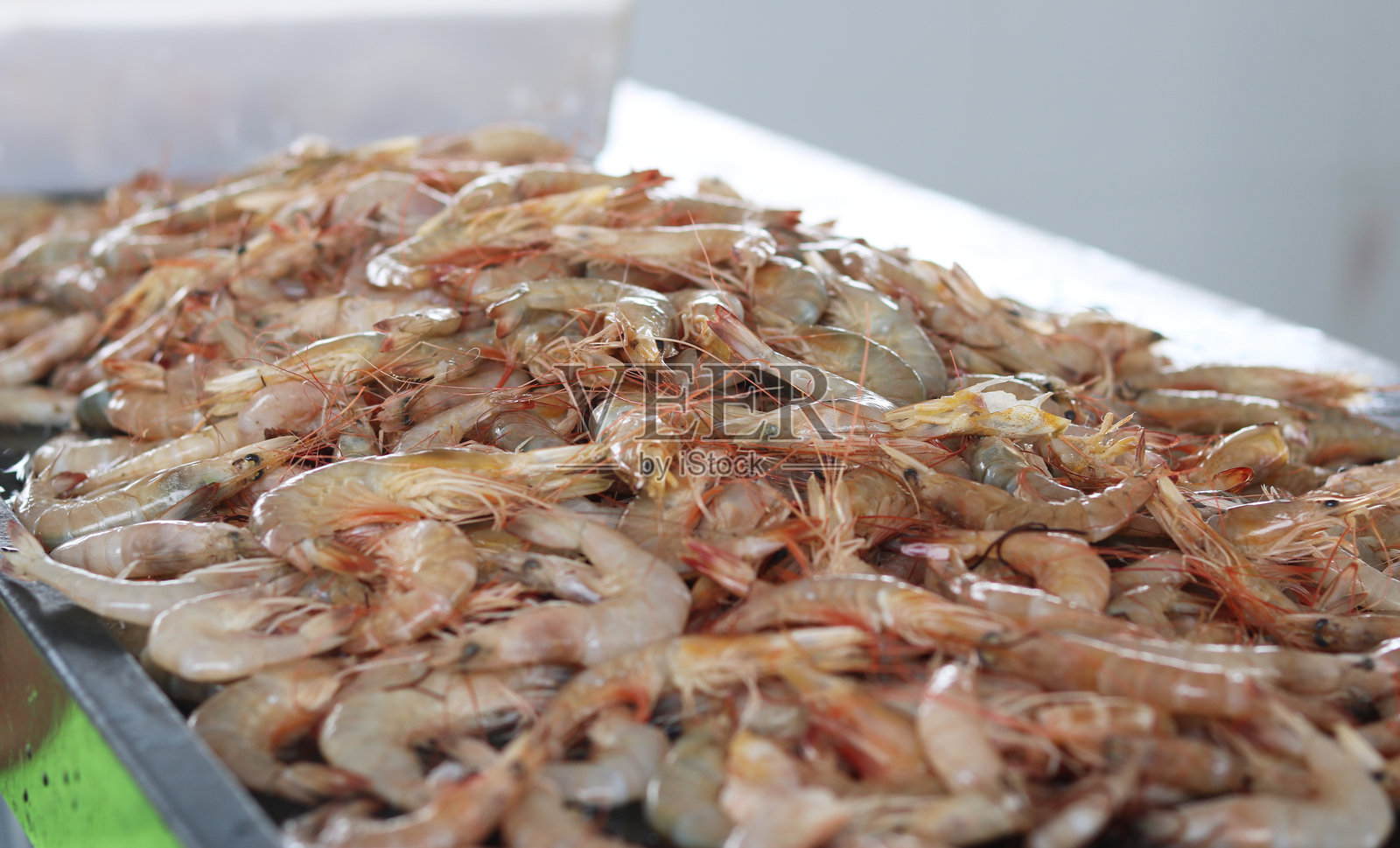 一大堆新鲜生虾的特写，虾头和虾壳完整。该图像展示了海鲜的自然纹理和颜色，非常适合用于描绘捕鱼、烹饪原料或海鲜市场。照片摄影图片