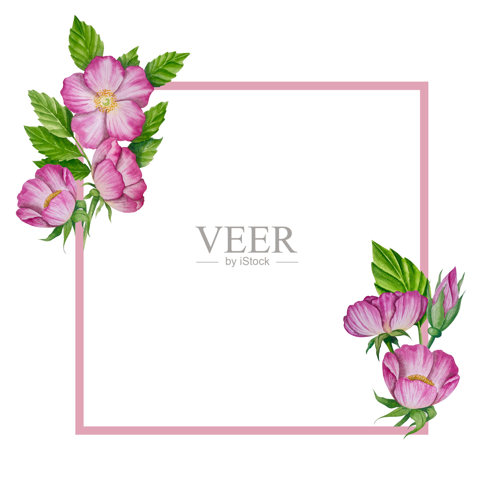 茶时间水彩插图套装插画图片素材