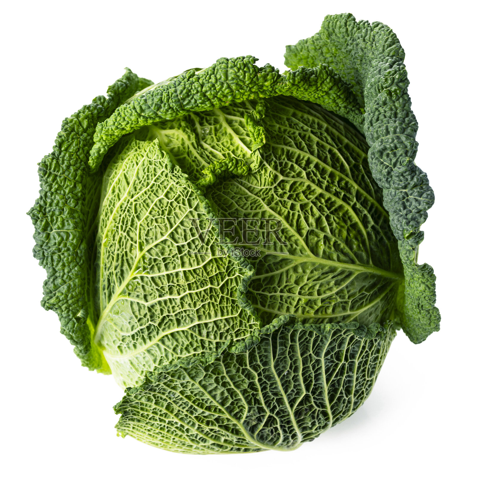 特写的萨沃伊卷心菜，孤立展示照片摄影图片