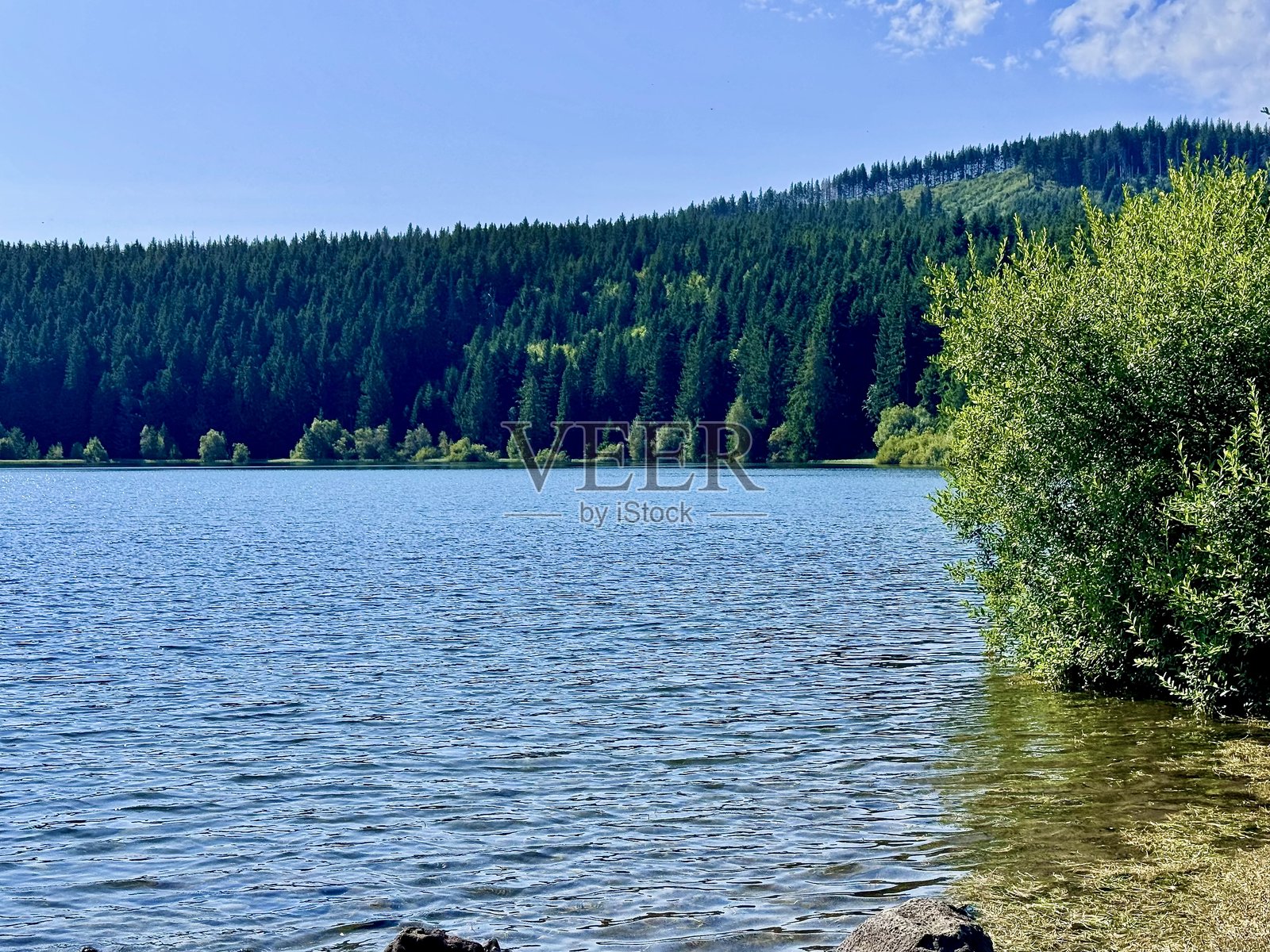 夏季湖畔照片摄影图片
