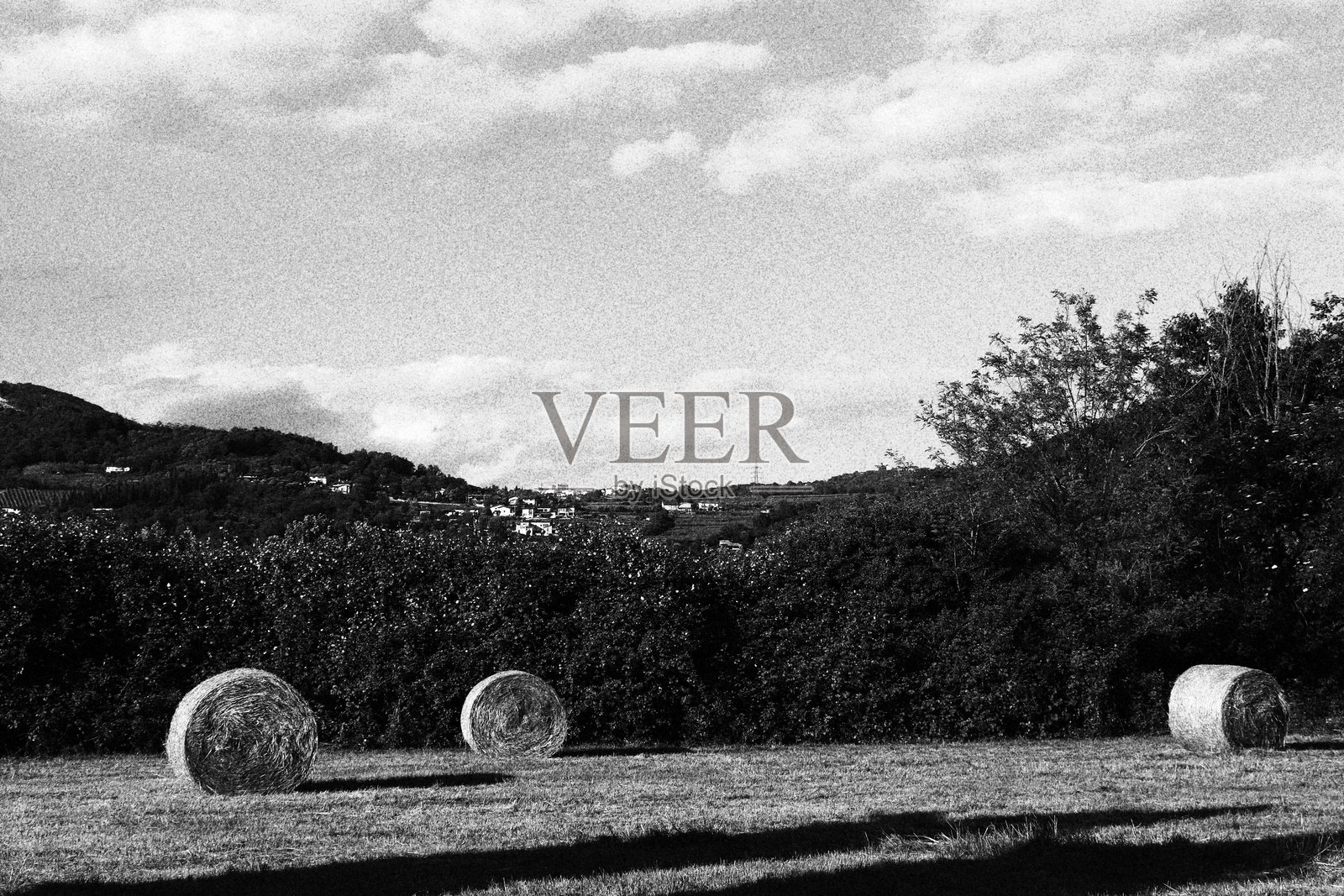 干草堆照片摄影图片