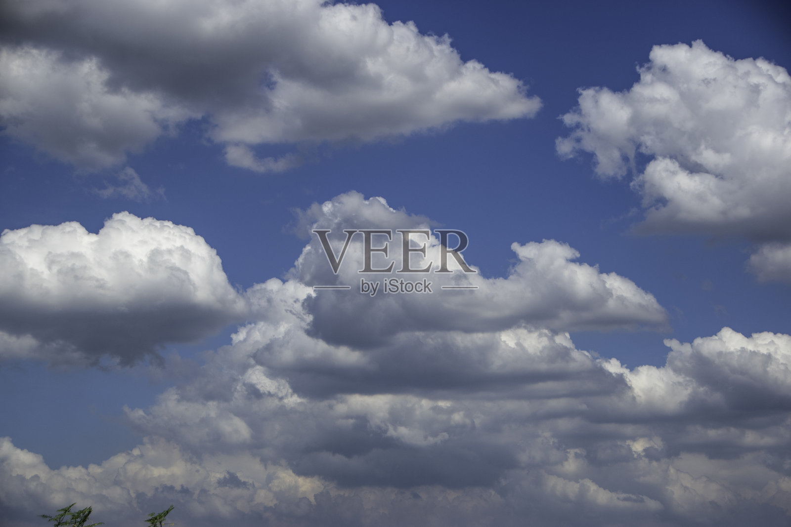 明亮的蓝天上装饰着高耸的白色积雨云。照片摄影图片