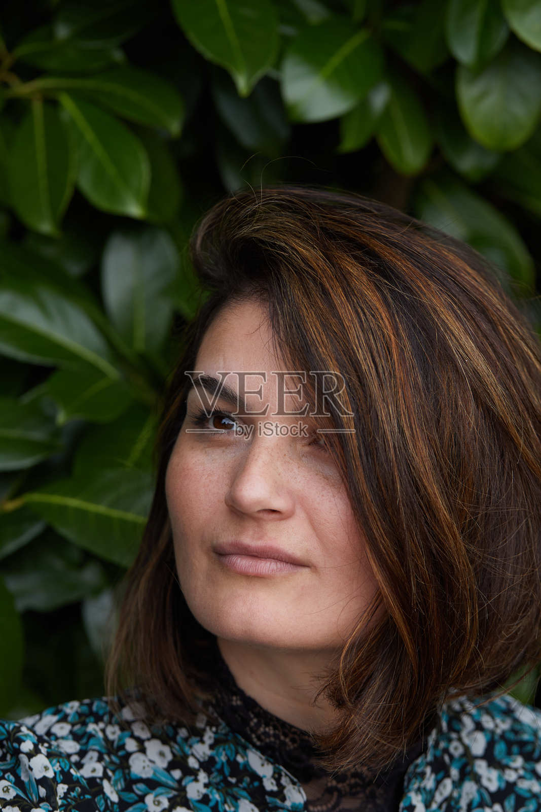 棕发女性的肖像，背景为绿叶丛生照片摄影图片