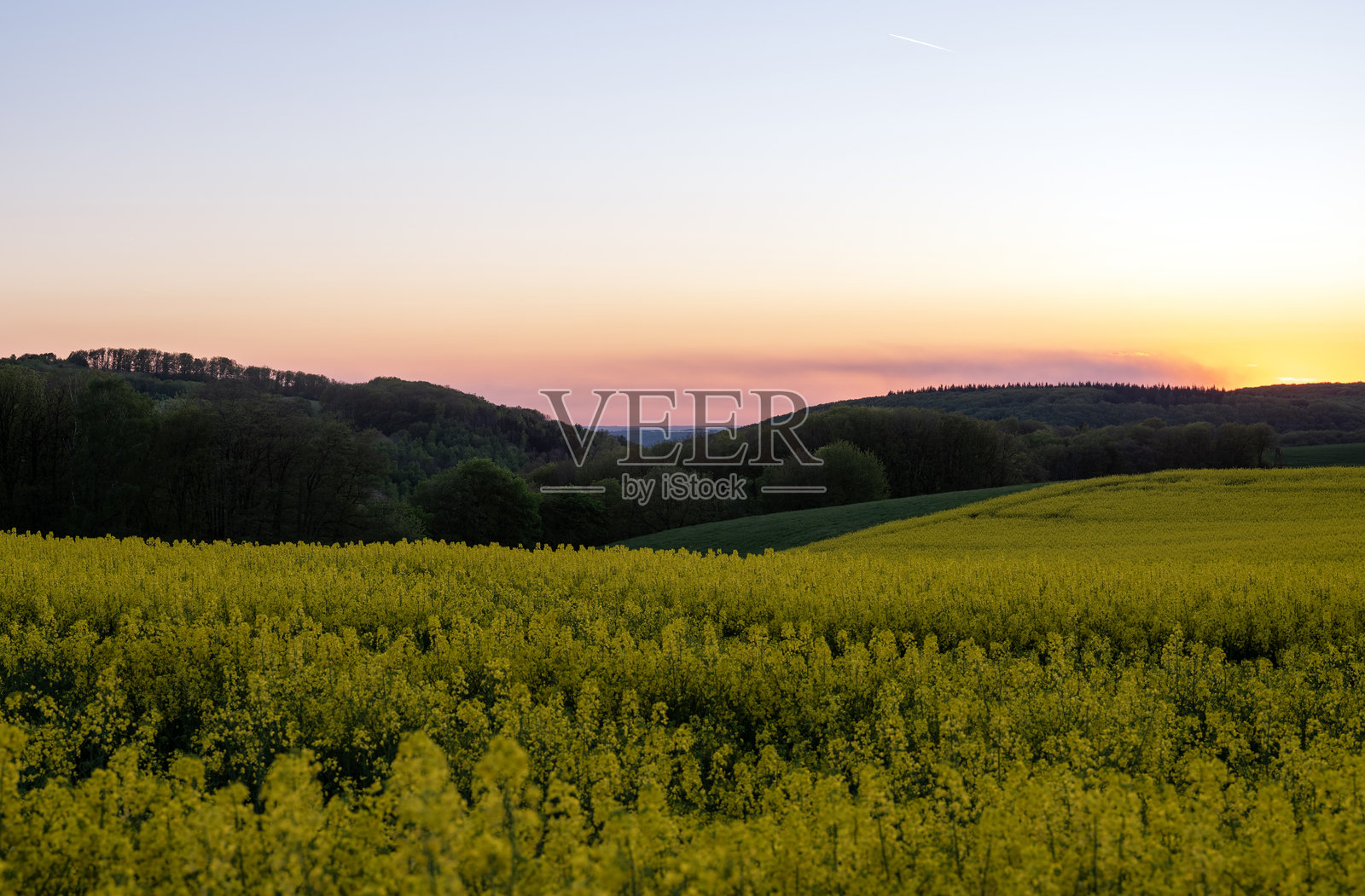 德国萨尔-洪斯吕克国家公园春季日落时的油菜花田乡村风光照片摄影图片
