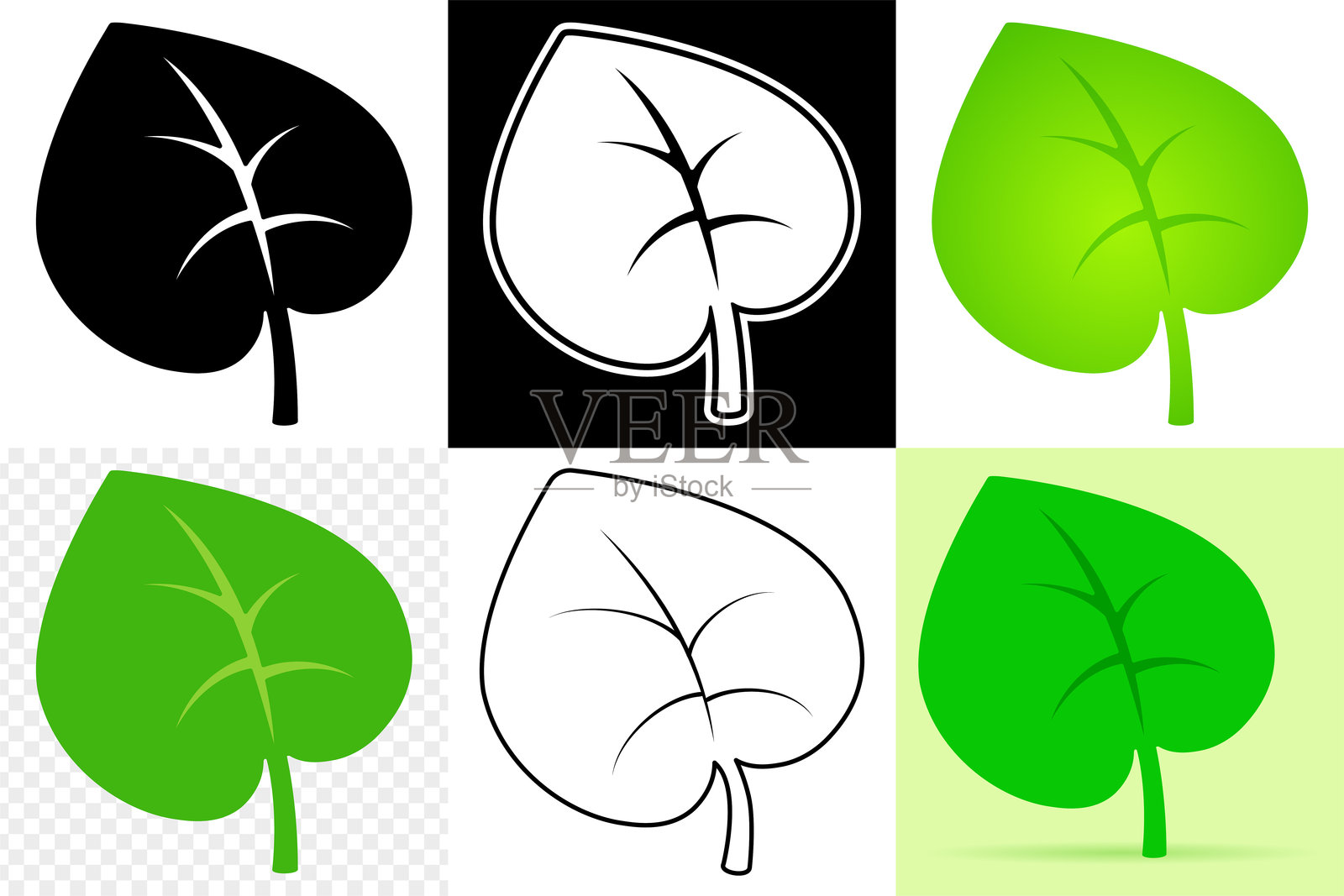 风格化的叶子图标，6种图形变体。插画图片素材