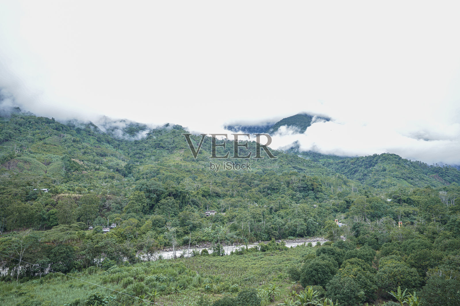 风景如画的丛林山脉和云雾森林景观 - 自然旅行者的理想目的地照片摄影图片