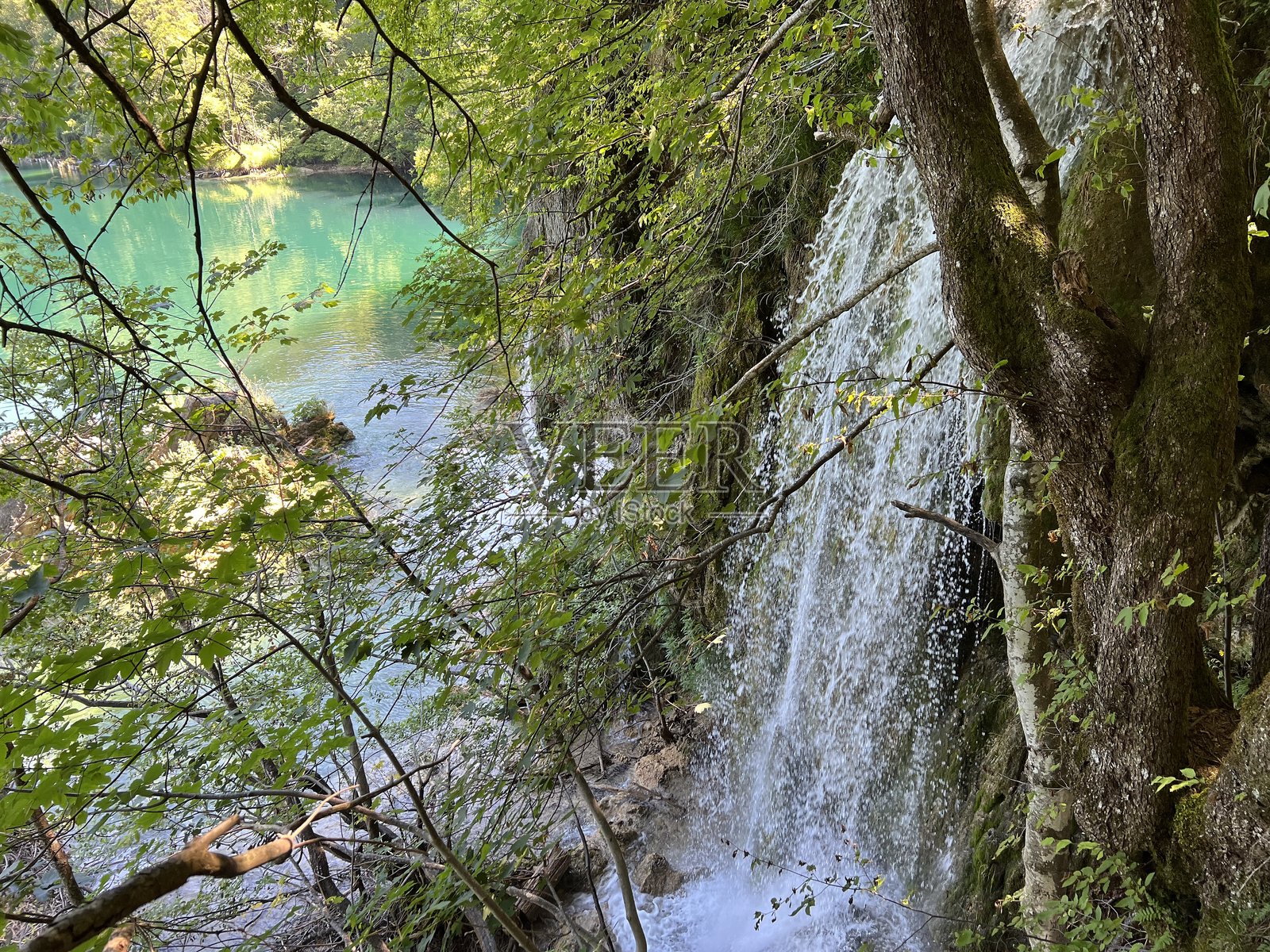 普利特维采湖国家公园（联合国教科文组织）风景与环境 - 普利特维采，克罗地亚照片摄影图片