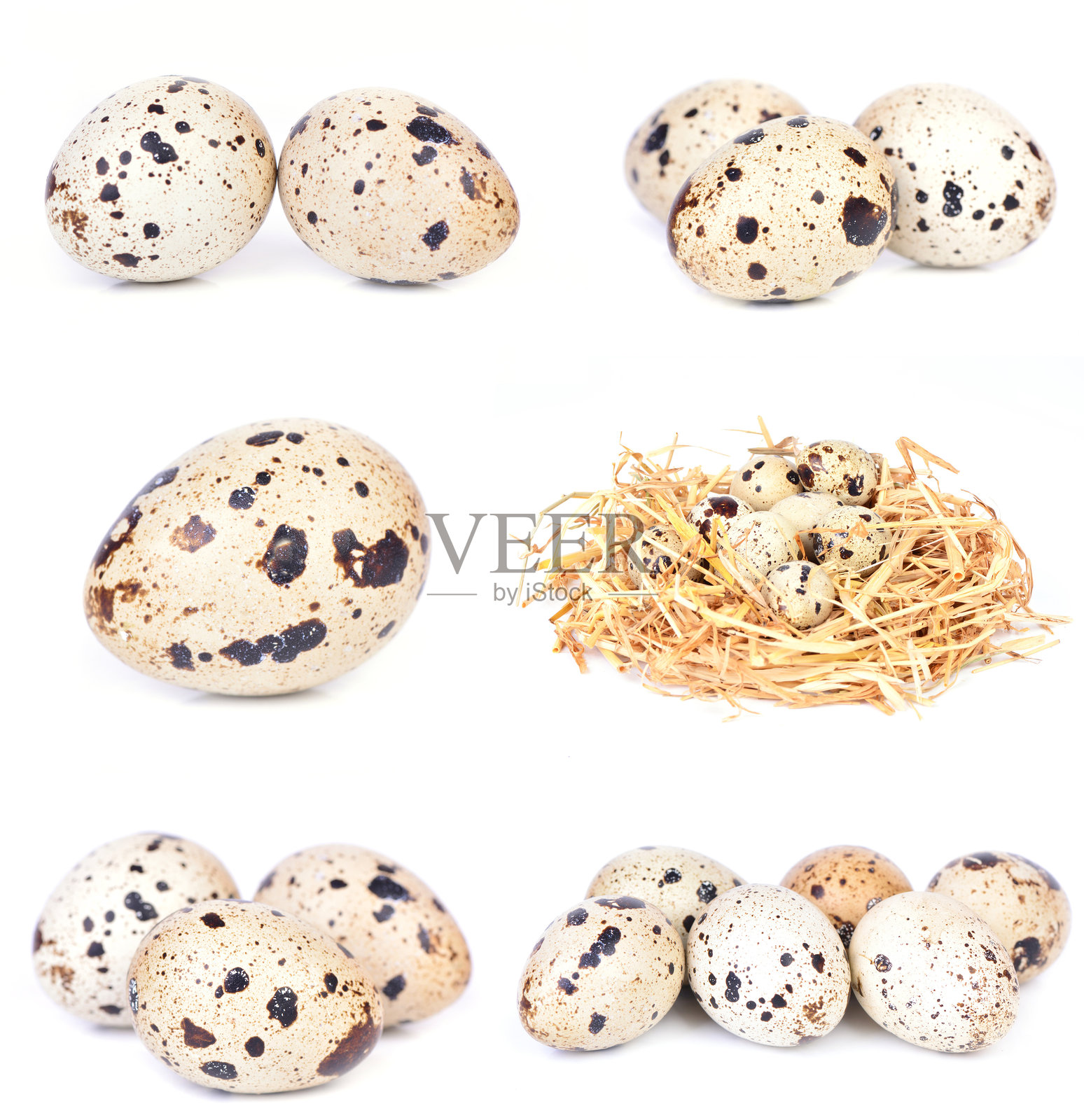 鹌鹑蛋照片摄影图片