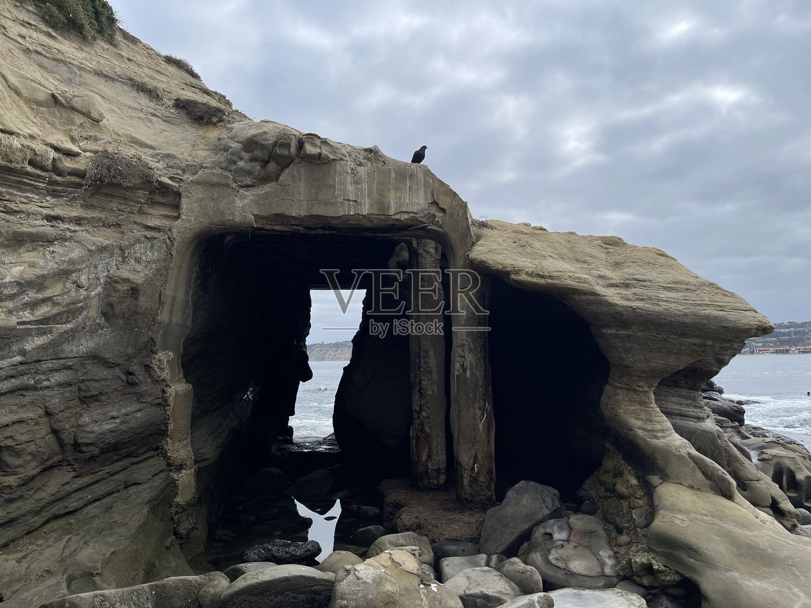 海豹在沙滩上休息照片摄影图片