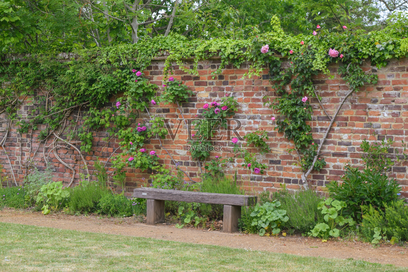 方济各花园照片摄影图片