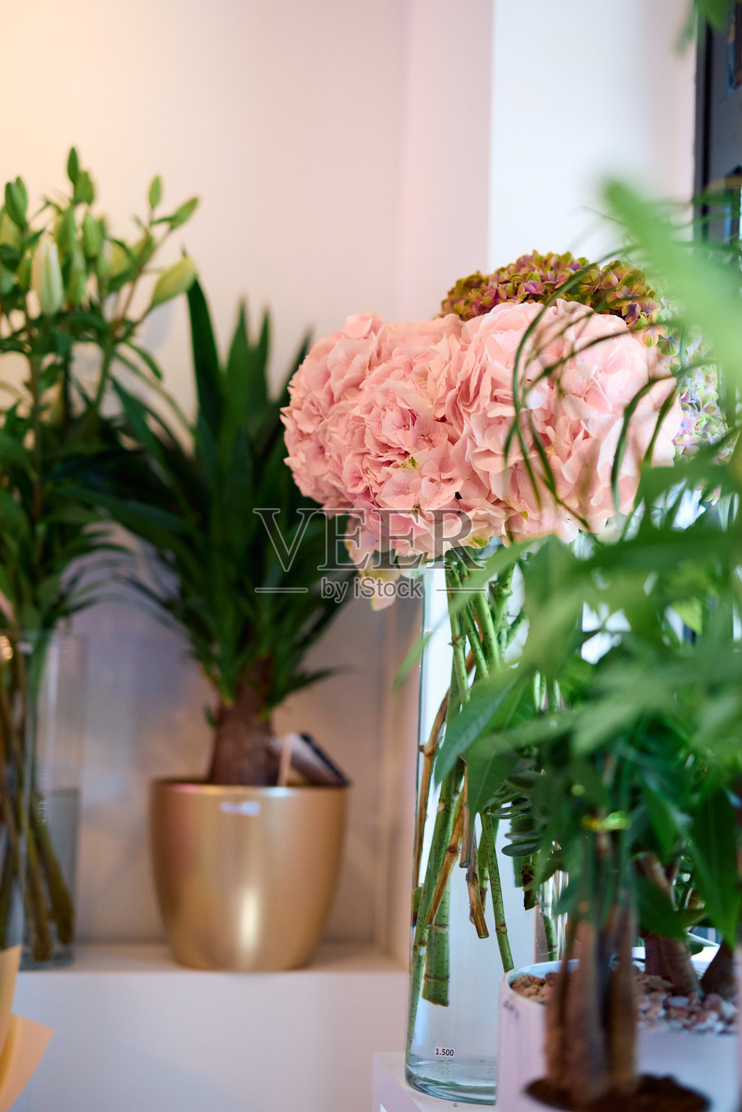 粉色绣球花和其他植物装饰着现代室内设计的花店照片摄影图片