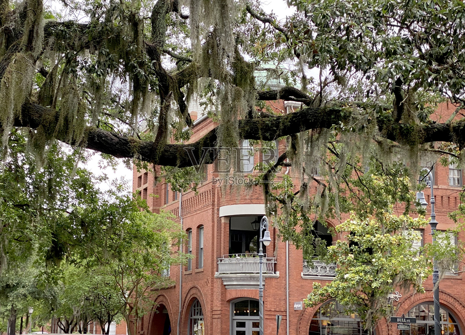 乔治亚州萨凡纳的红砖仓库与覆盖苔藓的树木照片摄影图片