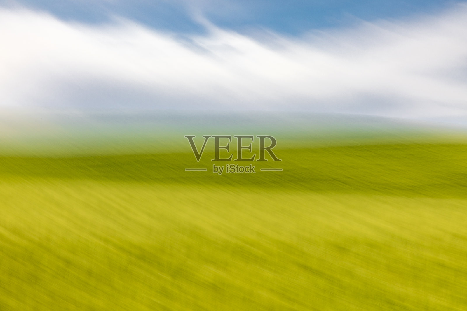 美国，华盛顿州，东华盛顿，帕卢斯地区。普尔曼。绿色的小麦田。蓝天，云朵。照片摄影图片