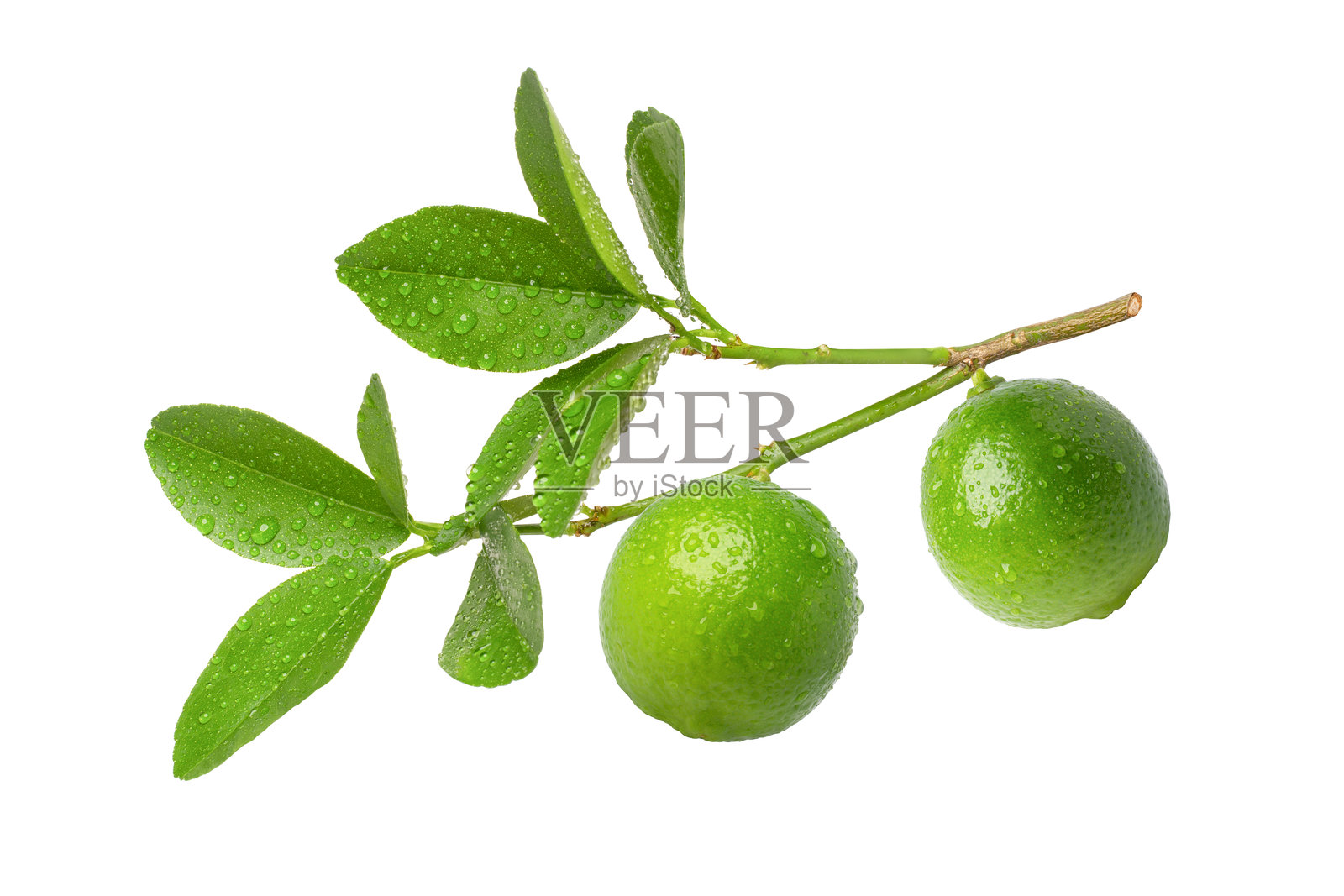 青柠檬与叶子照片摄影图片