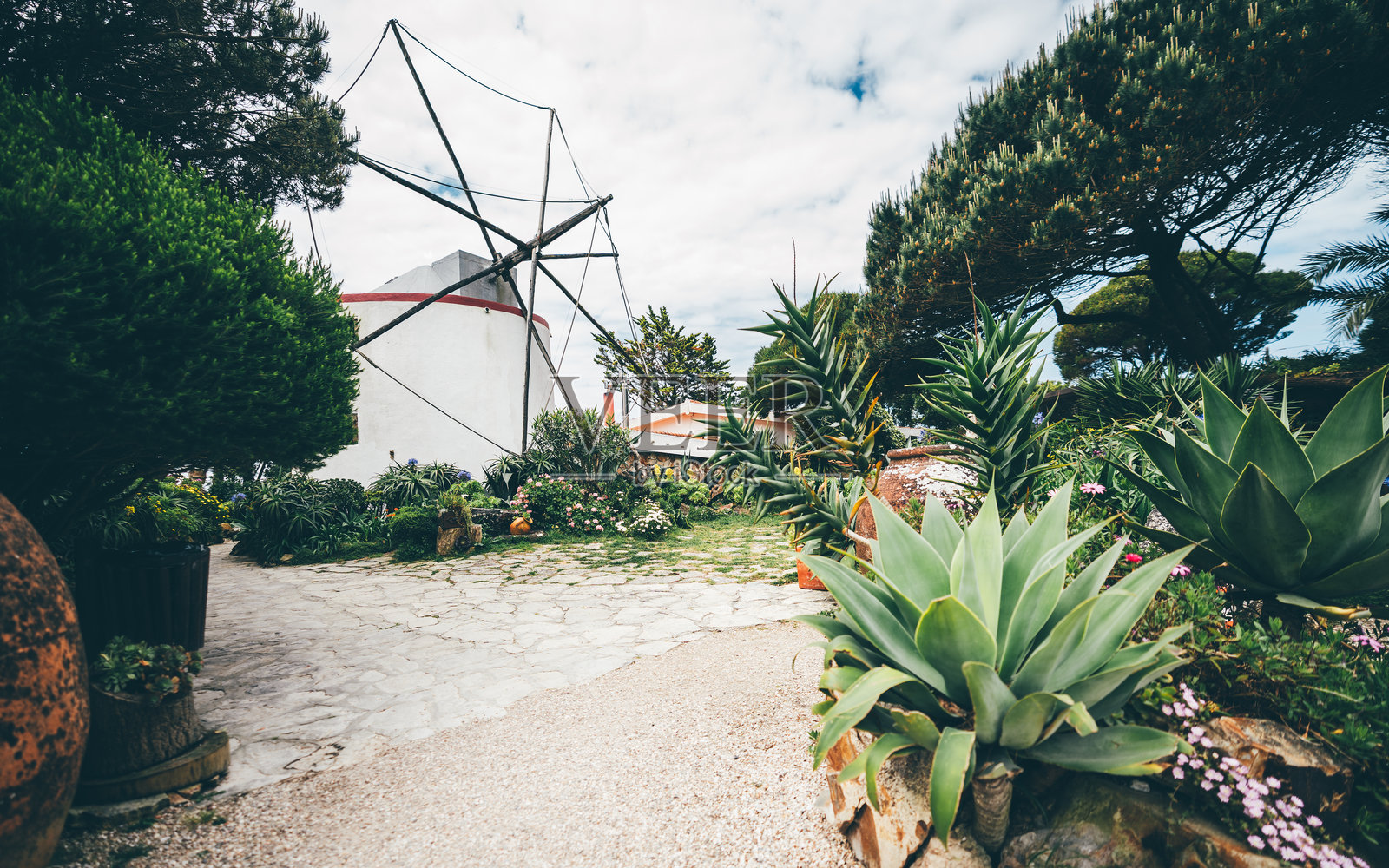 宽角镜头拍摄的花园和风车照片摄影图片