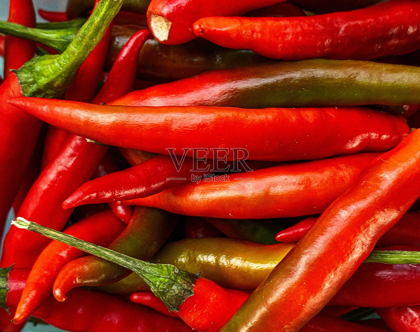 红辣椒照片摄影图片
