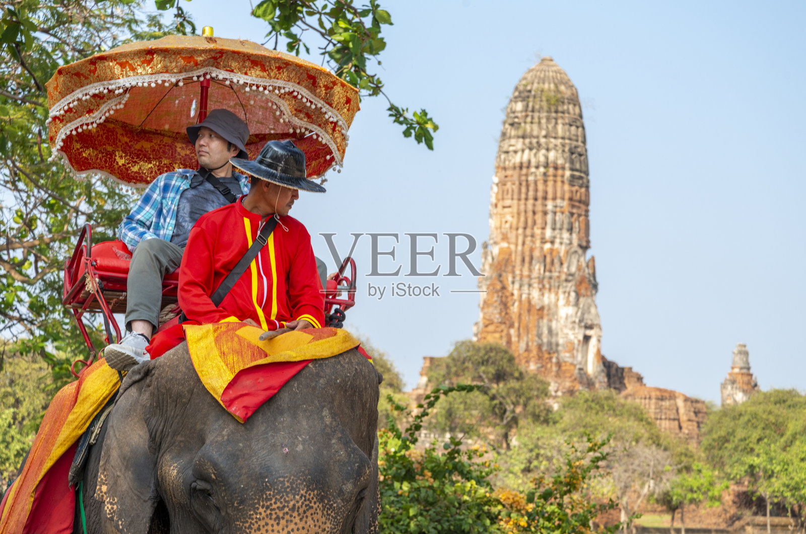 在大城府寺庙周围骑大象照片摄影图片