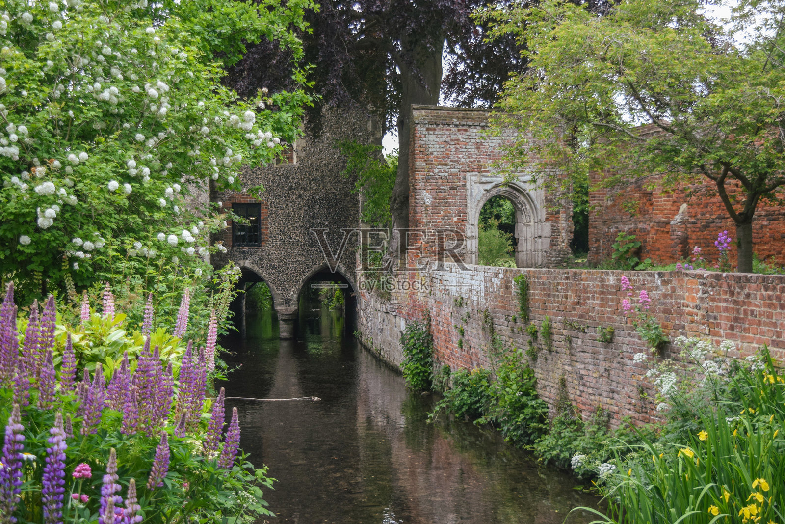 坎特伯雷方济各花园照片摄影图片