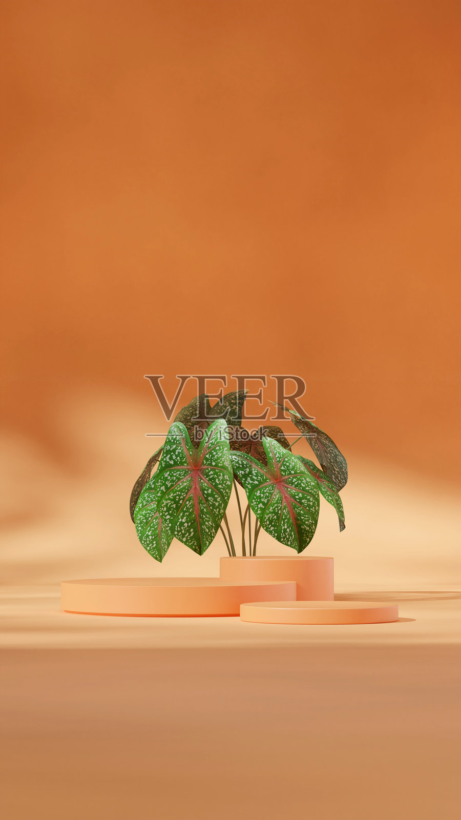 橙色曲面圆柱展示台的简约场景，竖版3D渲染图像照片摄影图片