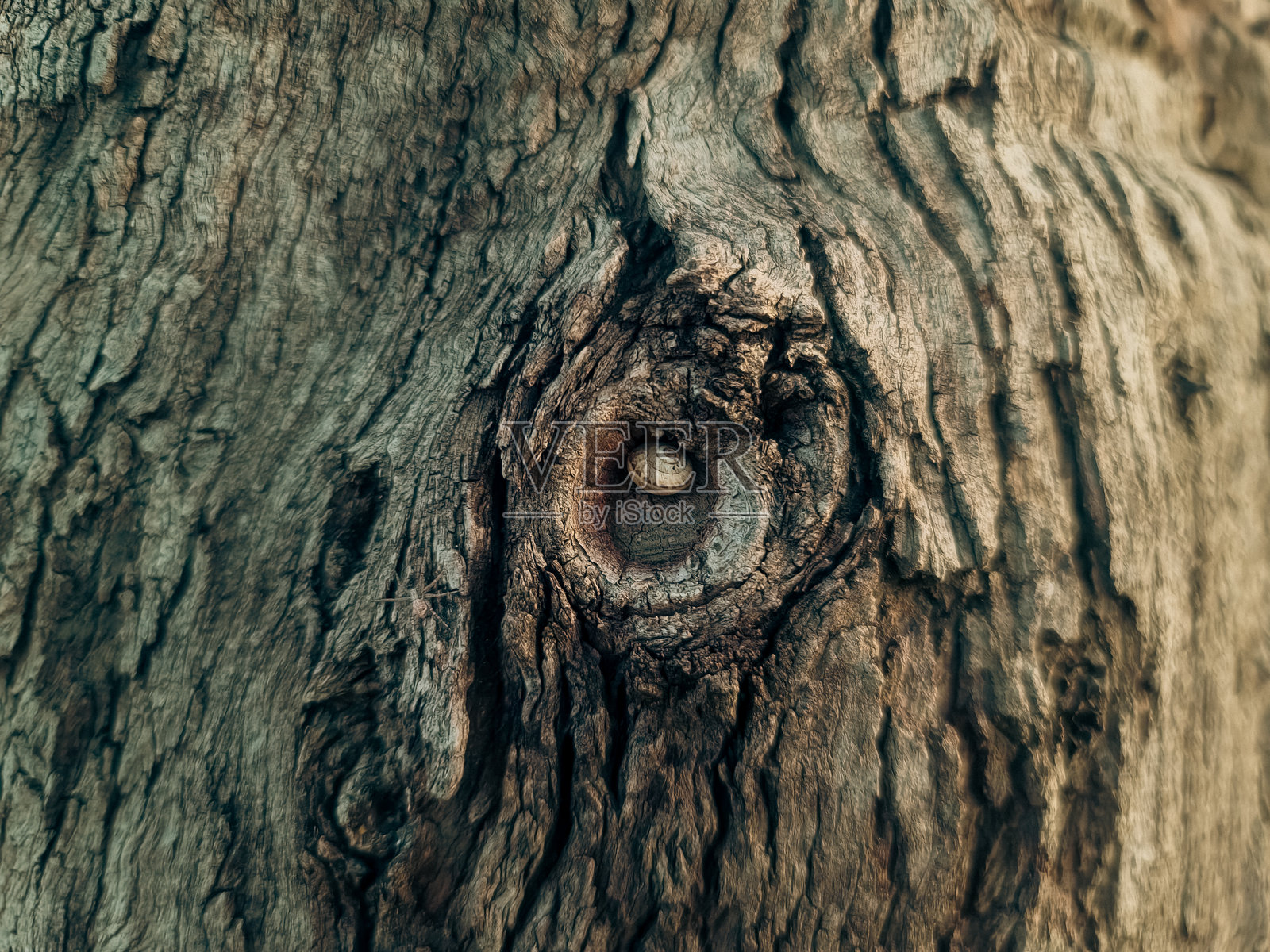 木纹壁纸照片摄影图片