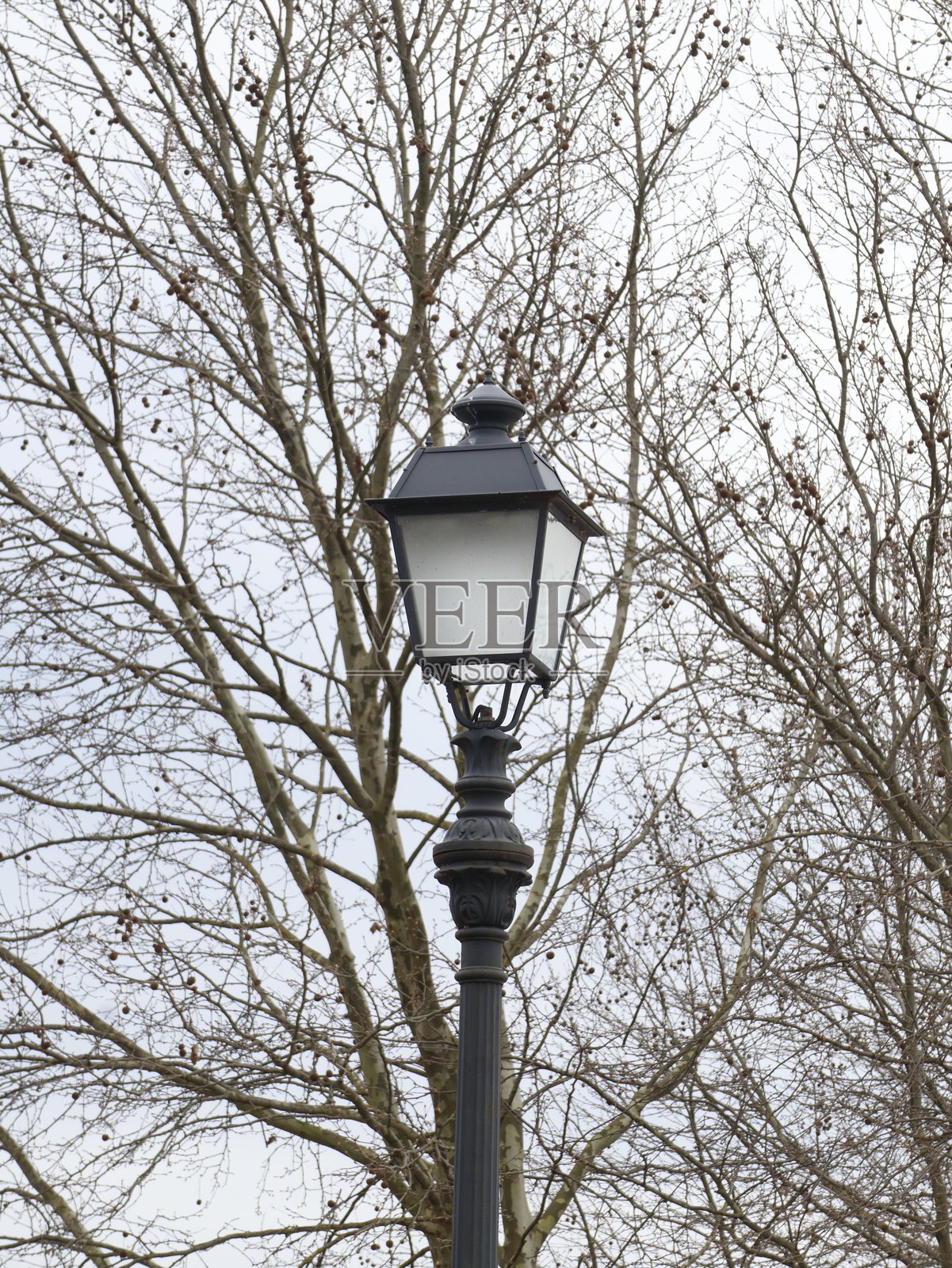 托斯卡纳卢卡村庄的一些景象照片摄影图片