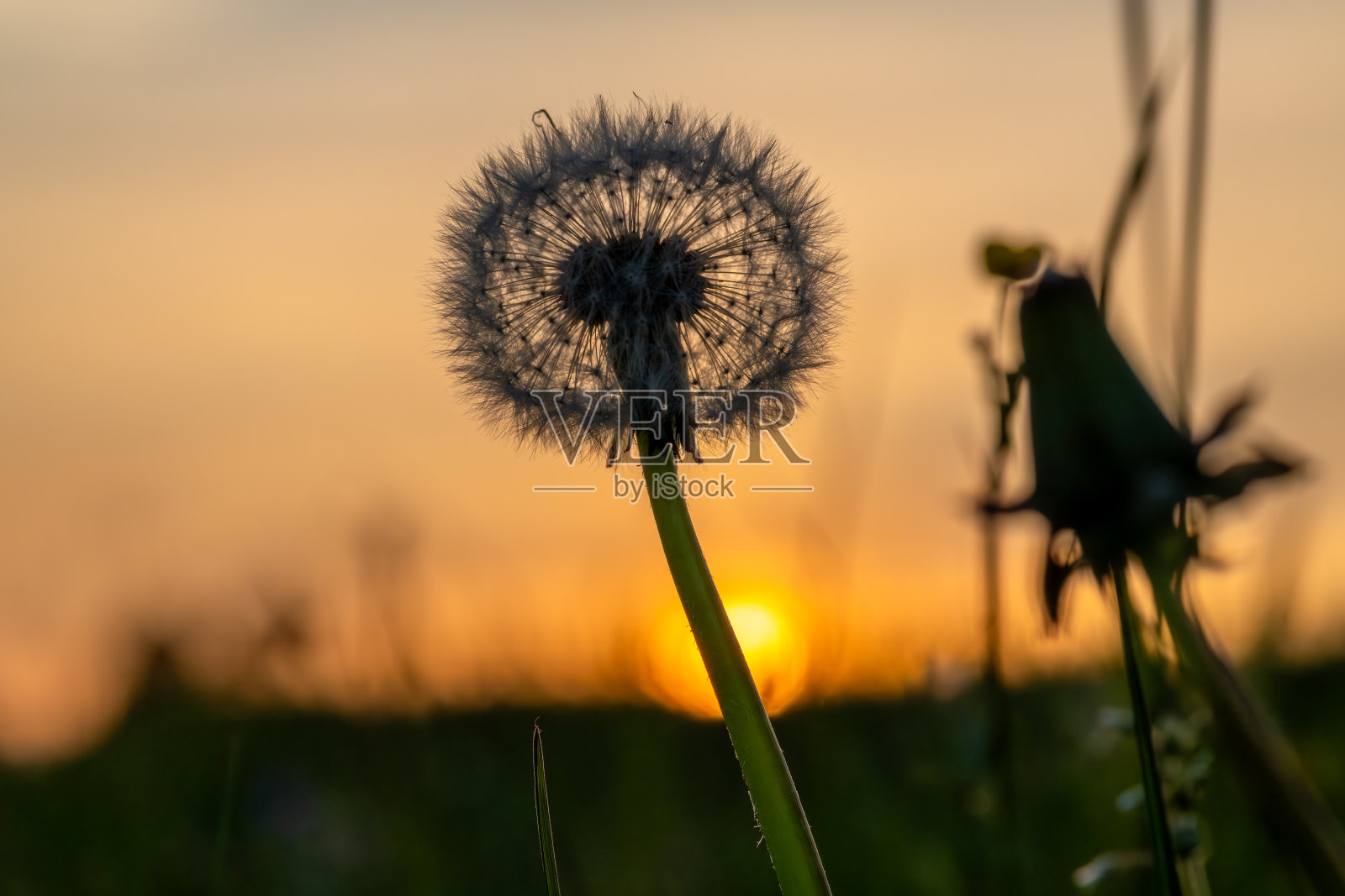 绿色春天的新鲜草地与橙色多云的日落在山中照片摄影图片
