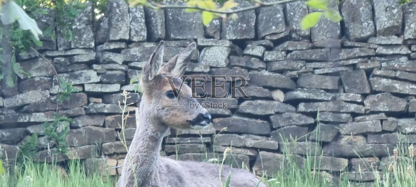 你好照片摄影图片