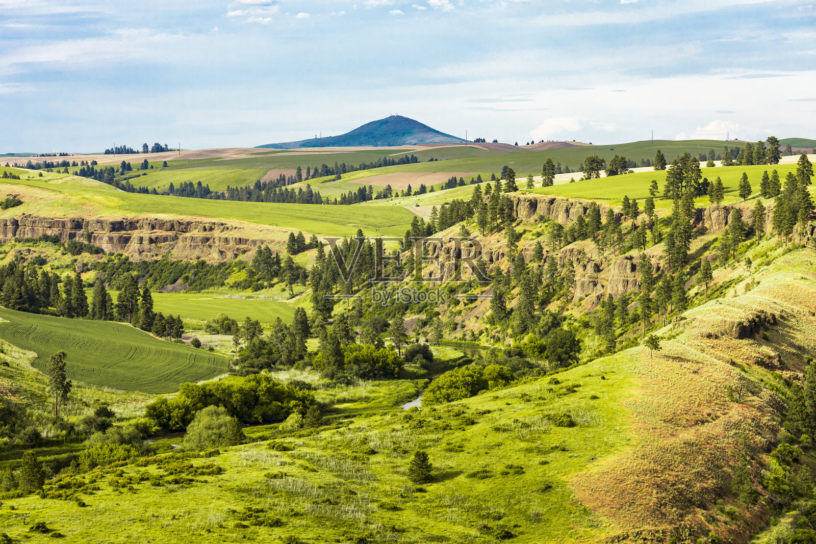 美国，华盛顿州，东华盛顿，帕卢斯地区。科尔法克斯。望向斯特普托山。照片摄影图片