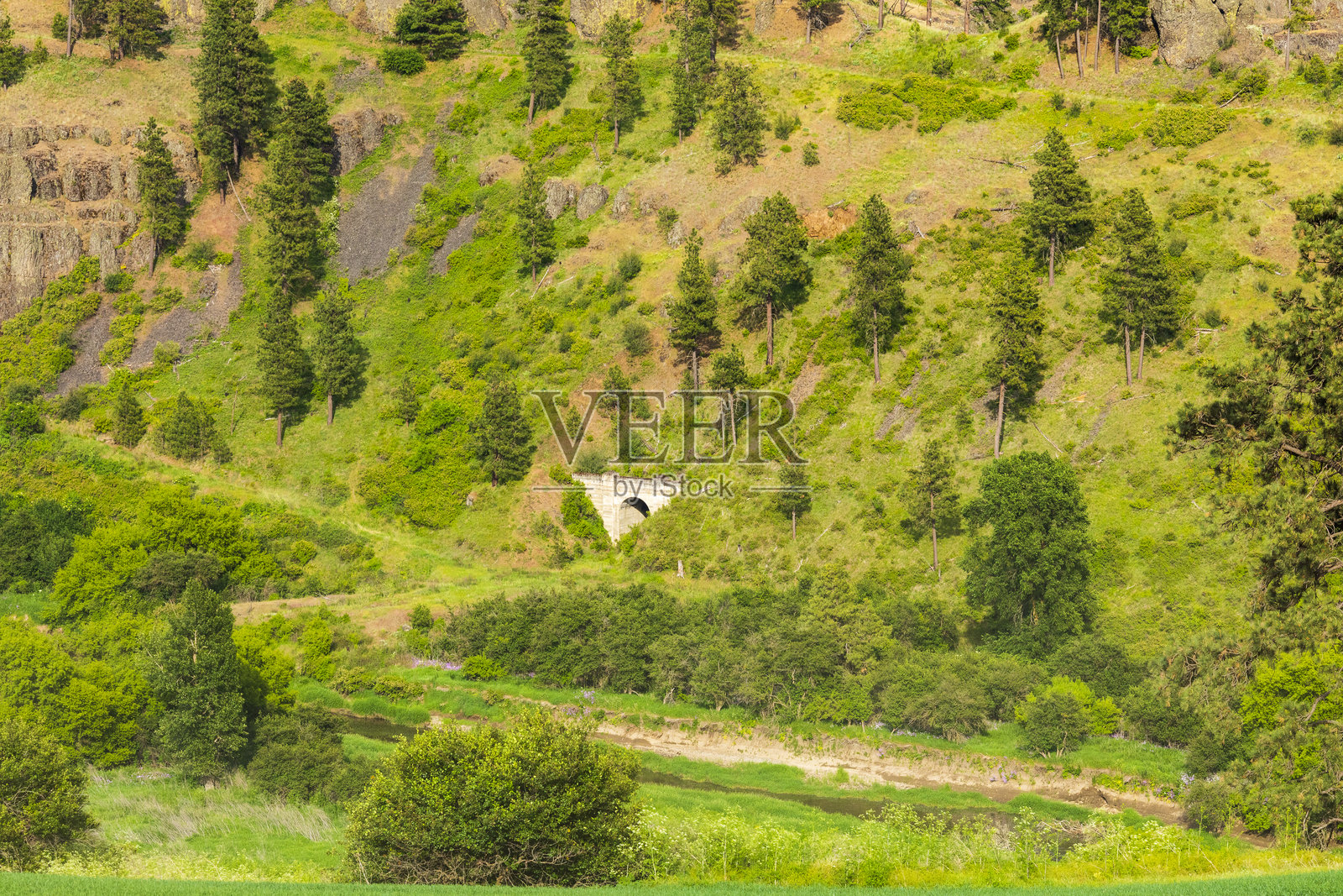 美国，华盛顿州，东华盛顿，帕卢斯地区。科尔法克斯。河谷。钻石隧道。照片摄影图片