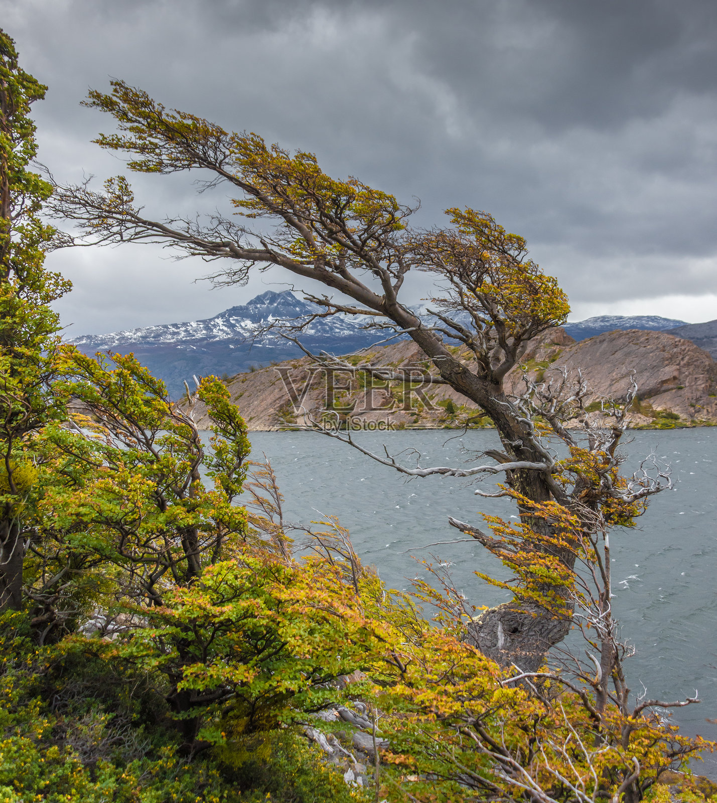 在智利的托雷斯德尔潘恩徒步旅行 - 19照片摄影图片