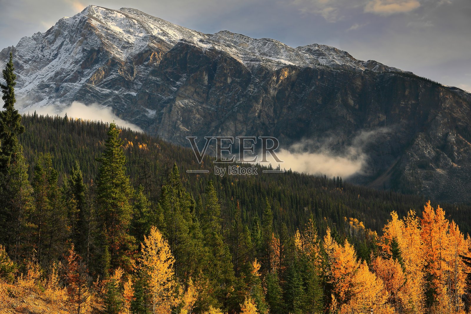 哈迪斯蒂山 -2716米- 在马利尼山脉中高耸，俯瞰冰原公路，沿着阿萨巴斯卡河谷向东南行驶。贾斯珀国家公园-阿尔伯塔-加拿大-266照片摄影图片
