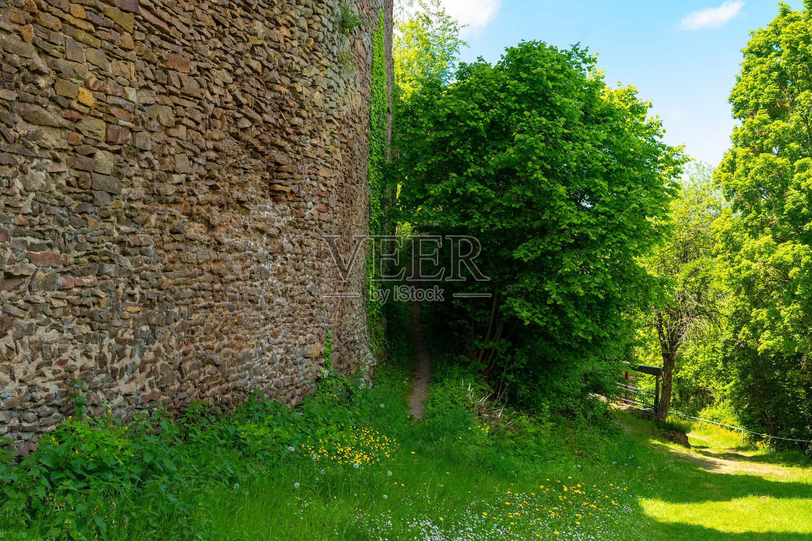 在明亮的蓝天下，探索环绕古老石墙的郁郁葱葱的绿意照片摄影图片