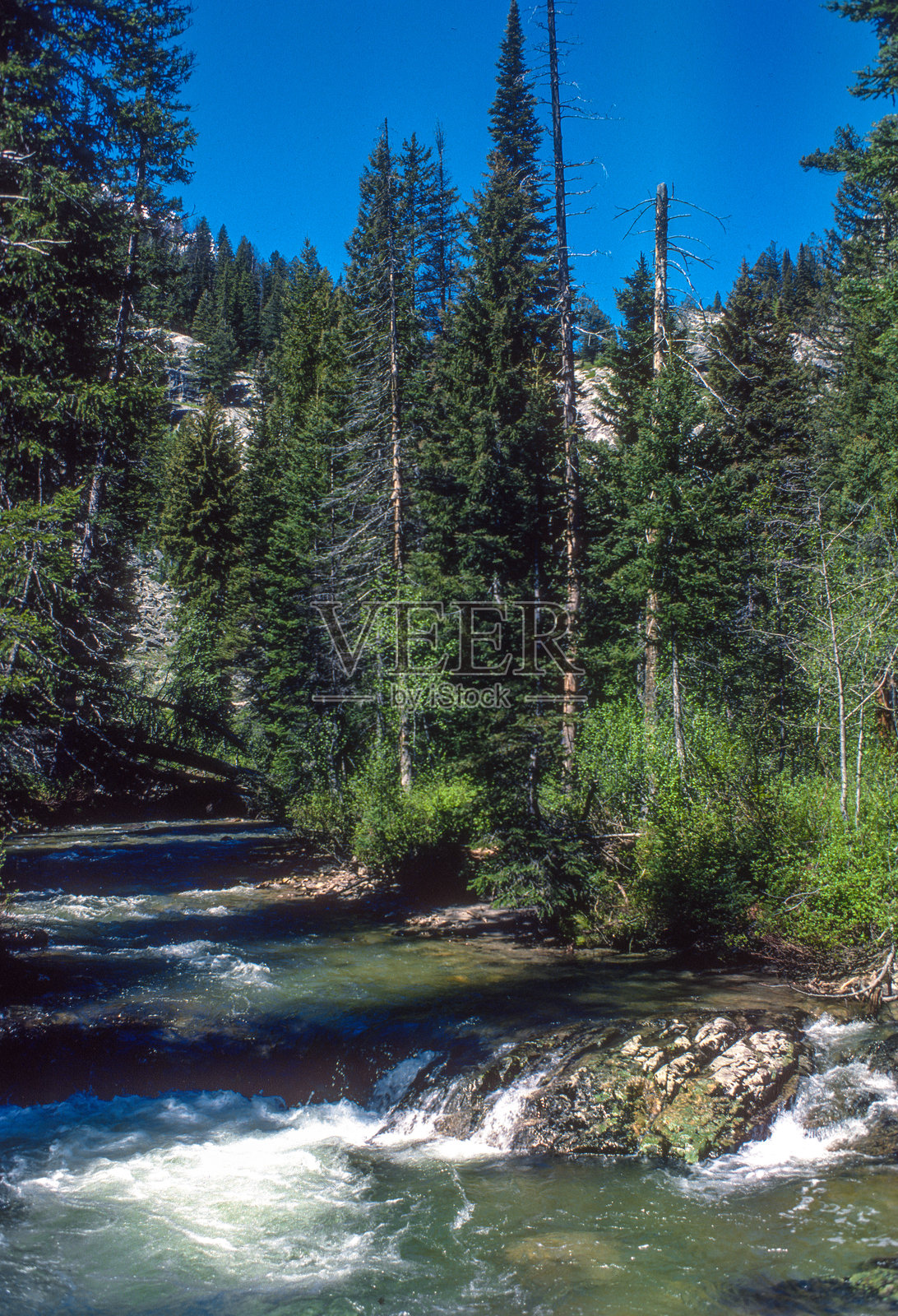 大提顿国家公园 - 山间溪流 - 1981照片摄影图片