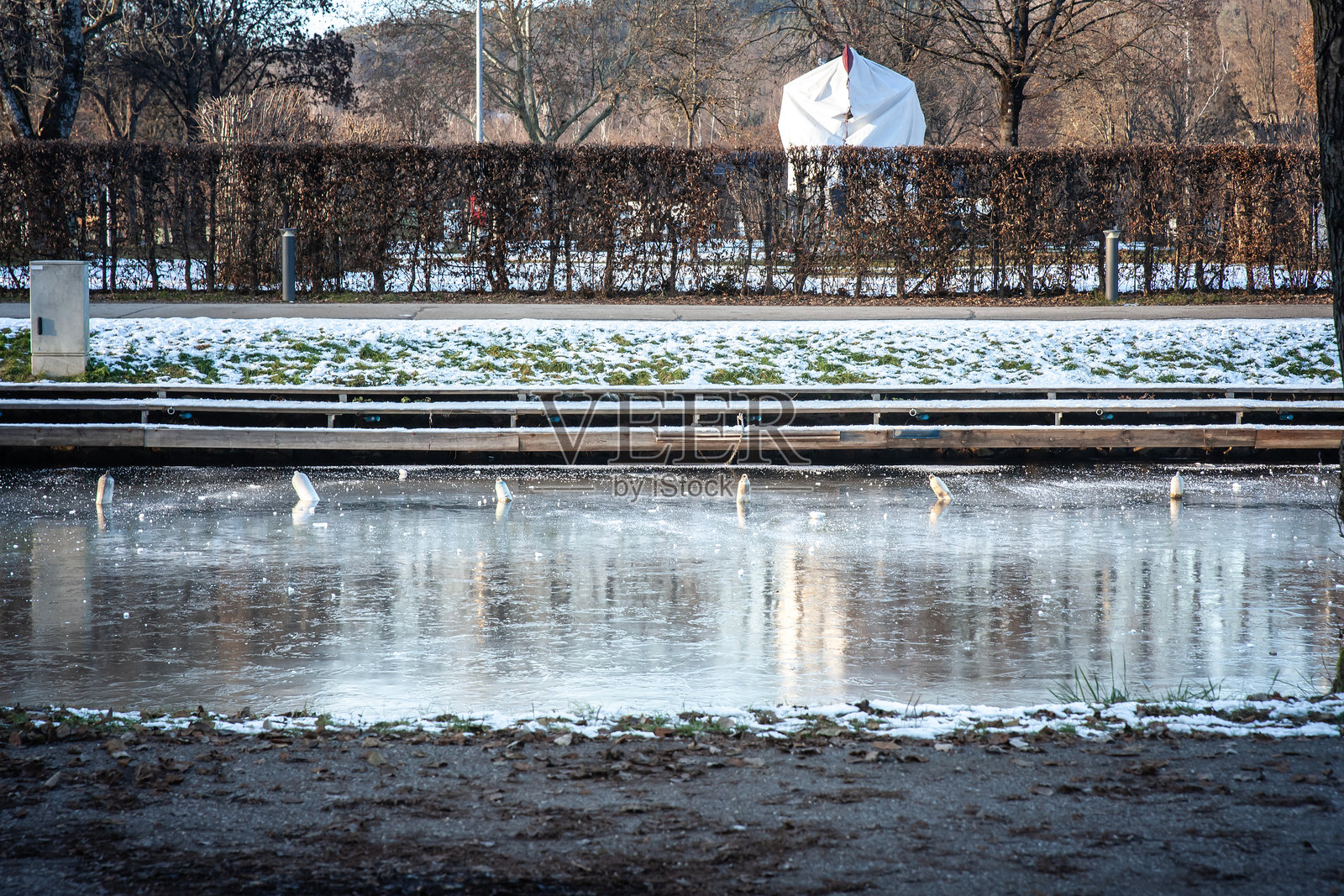 雪覆盖的岸边勾勒出奥地利公园冬季部分结冰的水道；破损的白色系船柱刺破光滑的冰面，光秃的树木和修剪整齐的树篱在背景中排列。照片摄影图片