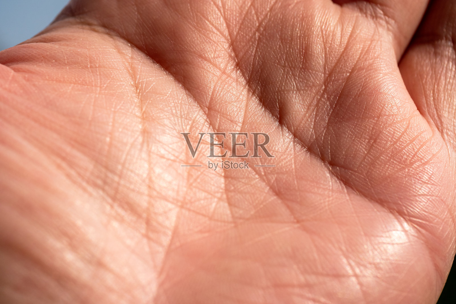 探索手相技术在手部分析中的个人成长学习环境特写视图照片摄影图片