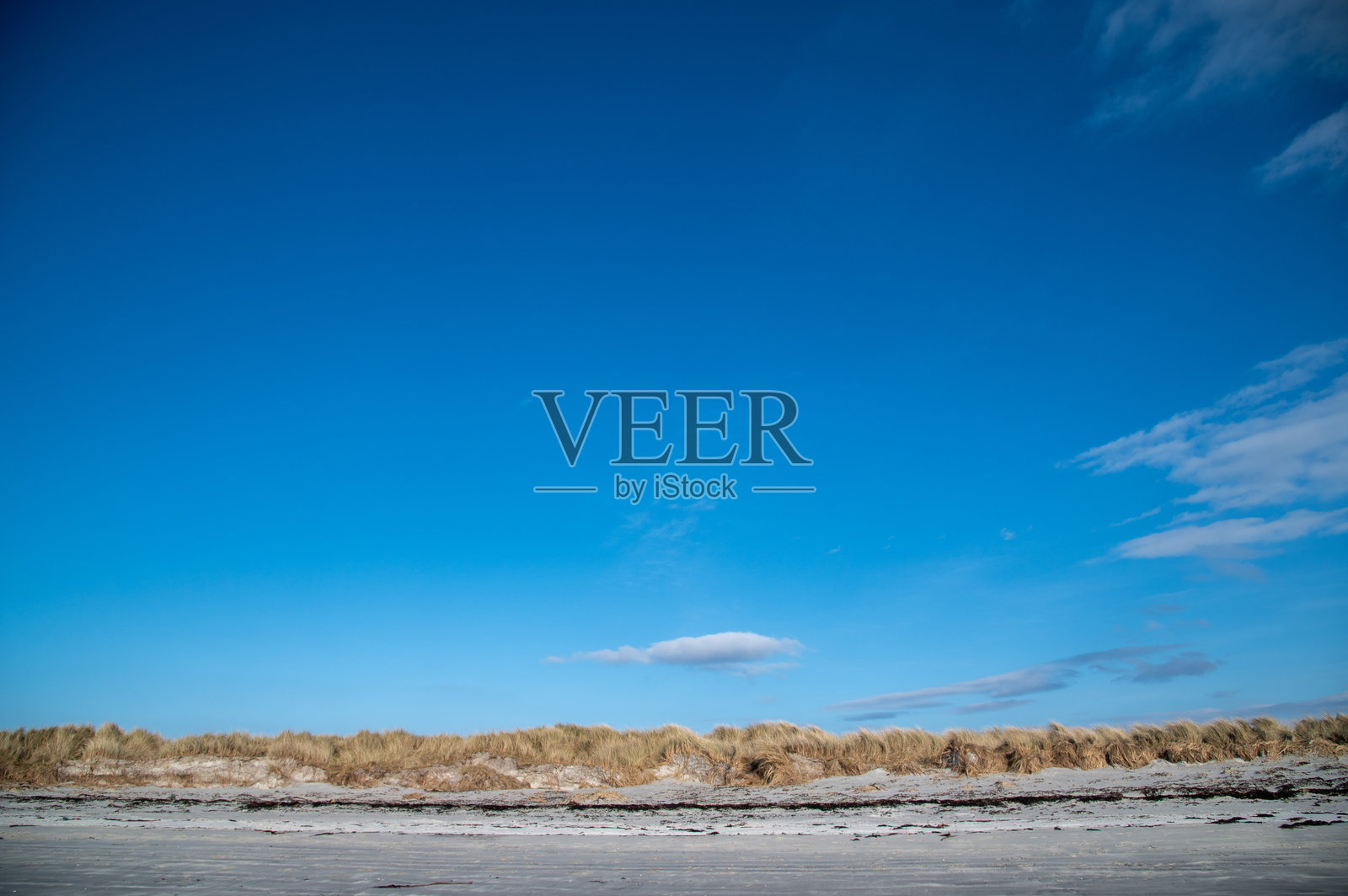 海滩后方的沙草照片摄影图片