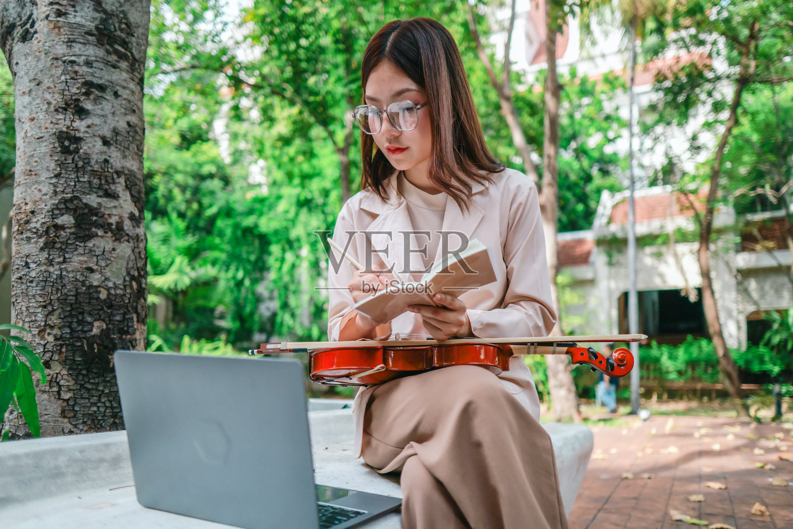 公园里的小提琴练习照片摄影图片