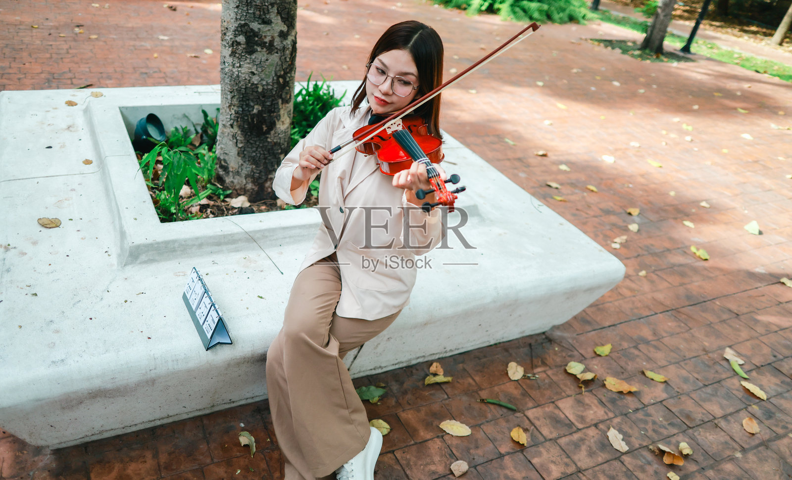 公园里的小提琴练习照片摄影图片