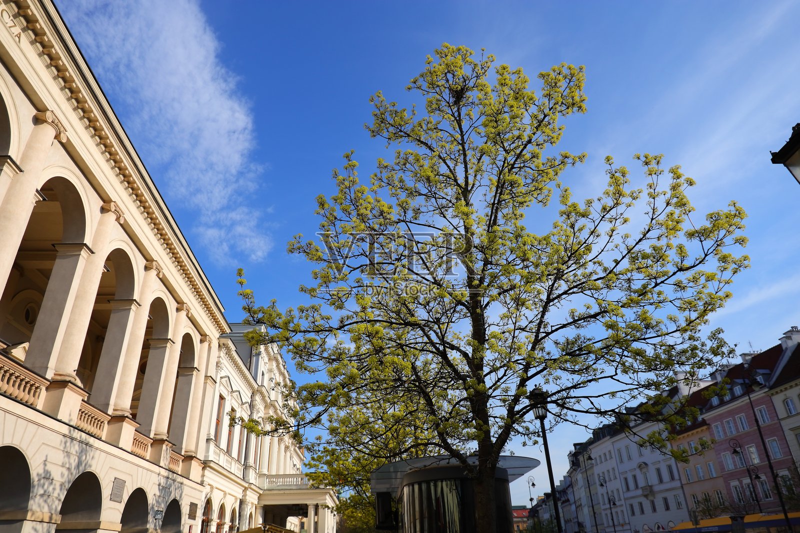 树上的绿叶和五彩斑斓的公寓楼照片摄影图片