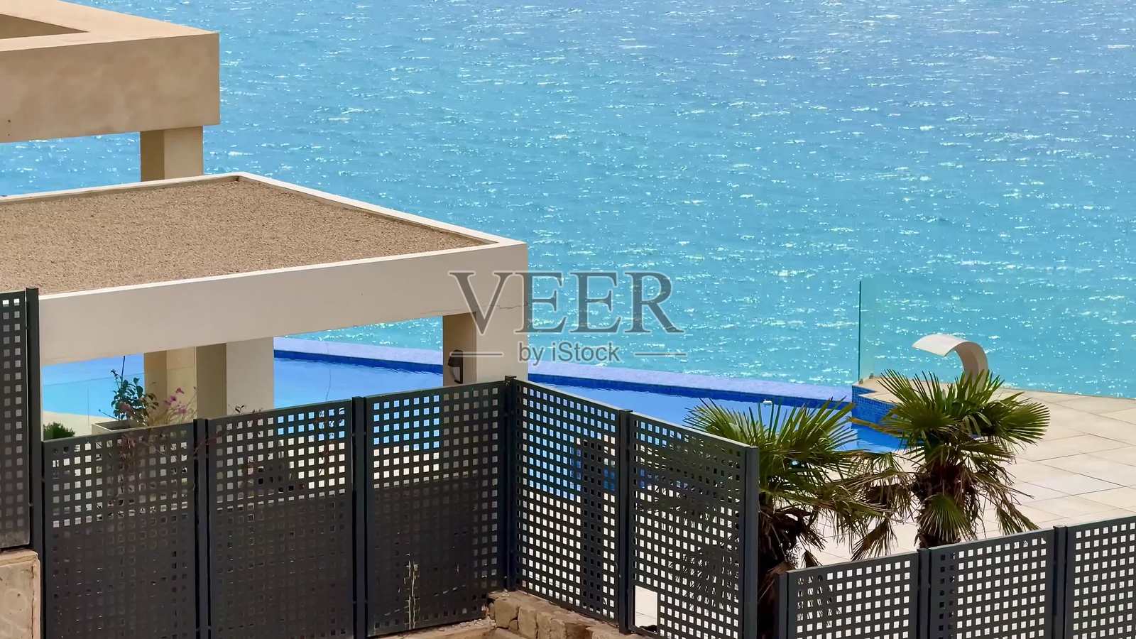 享受宁静的海岸景观，配有无边泳池和棕榈树，完美的逃离之地照片摄影图片