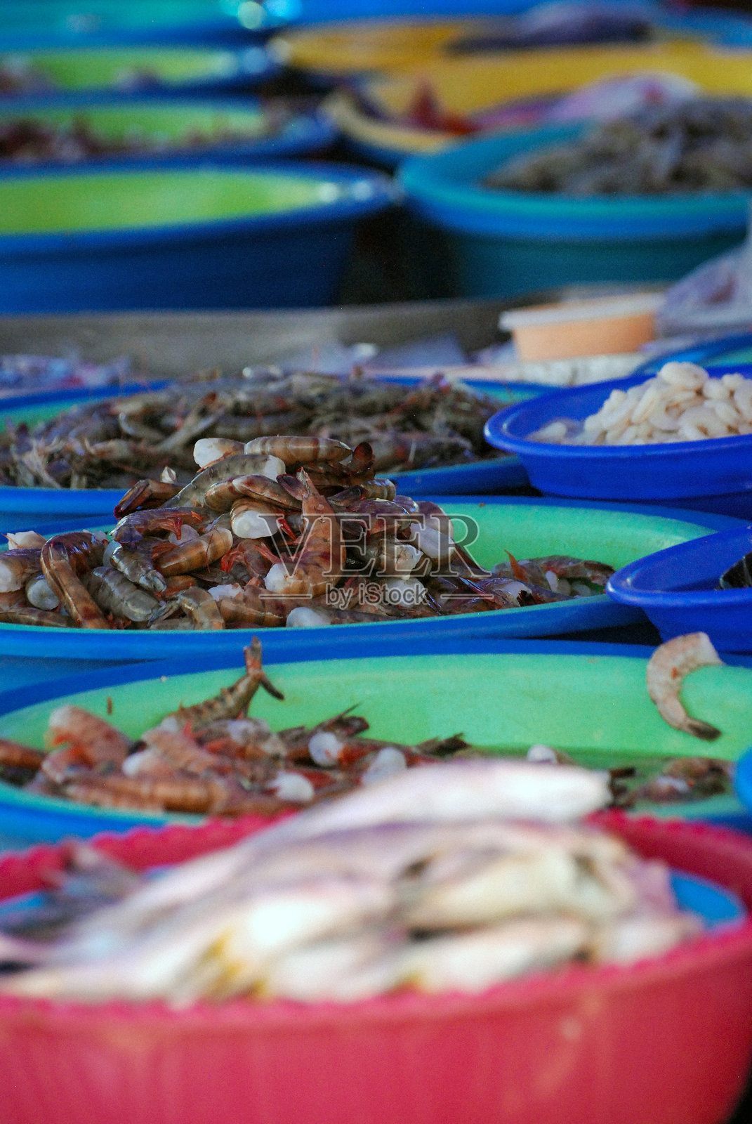 塑料箱中的海鲜选择照片摄影图片