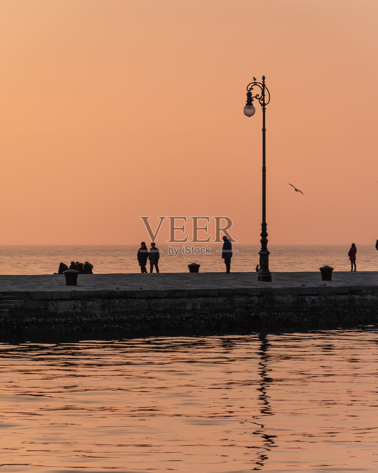 特里斯特的莫洛·奥达斯码头照片摄影图片